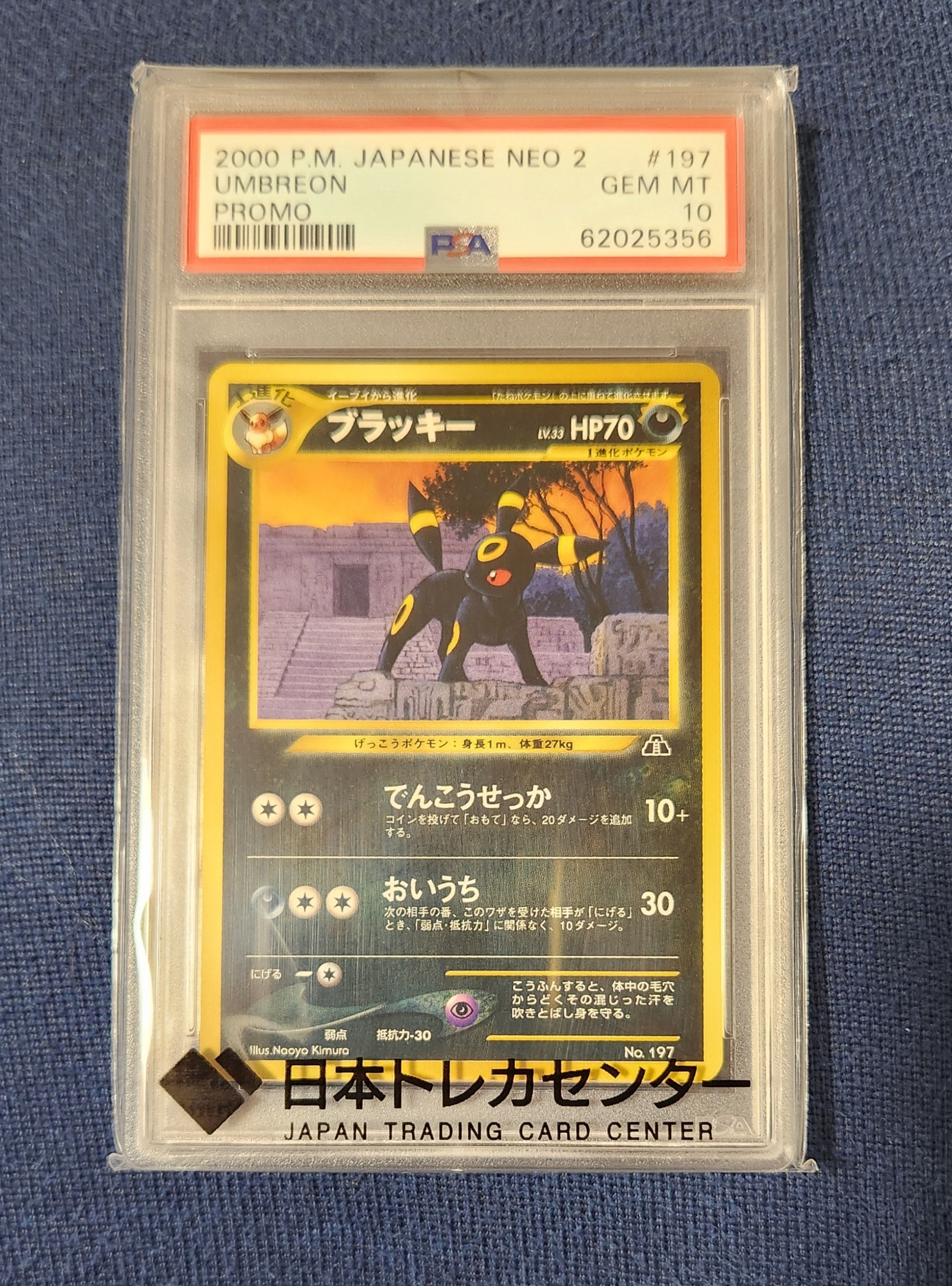 PSA10】ブラッキープレミアムファイル2: 旧裏[neoP2 No.197