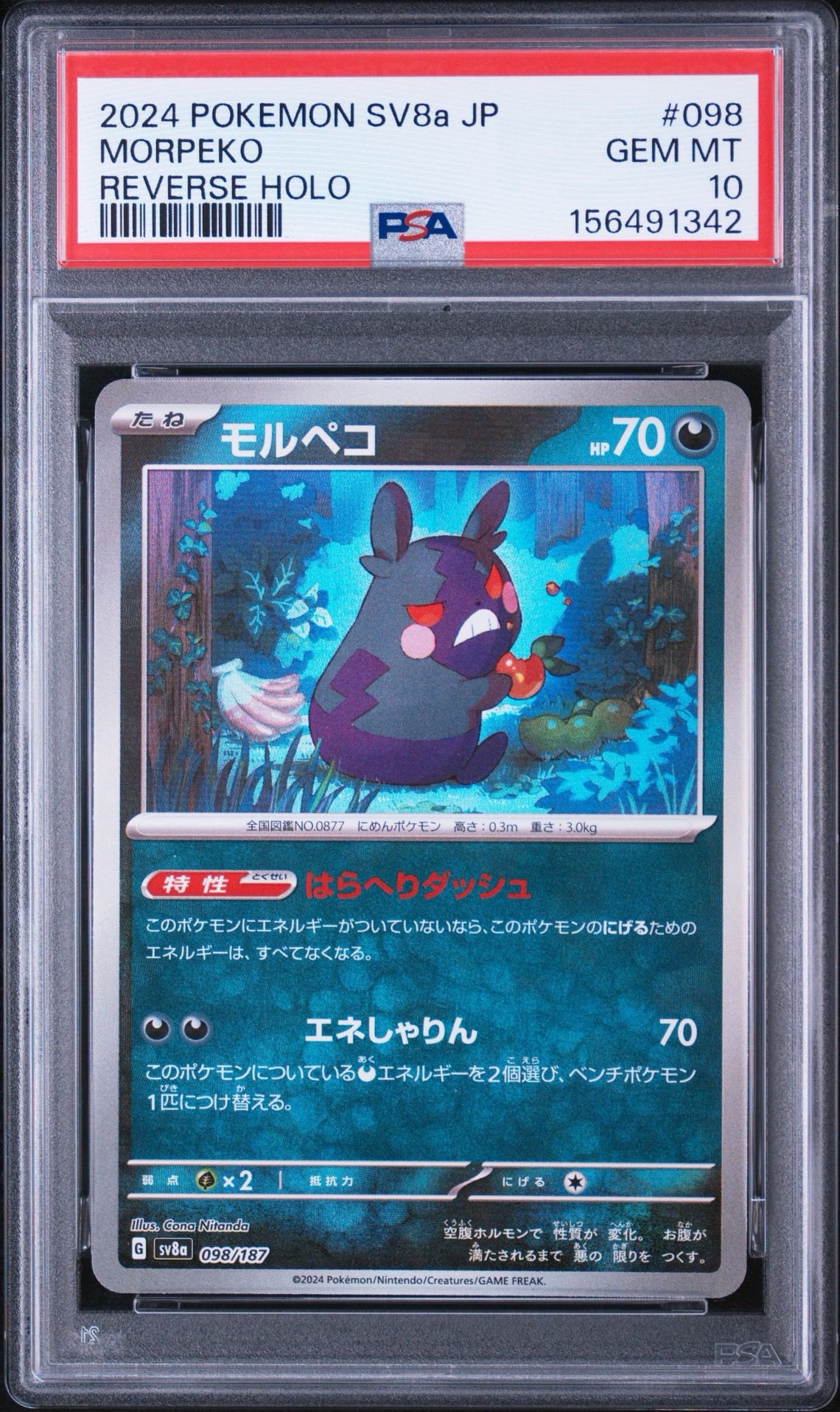 モルペコ [SV8a 098/187](ハイクラスパック「テラスタルフェスex」)