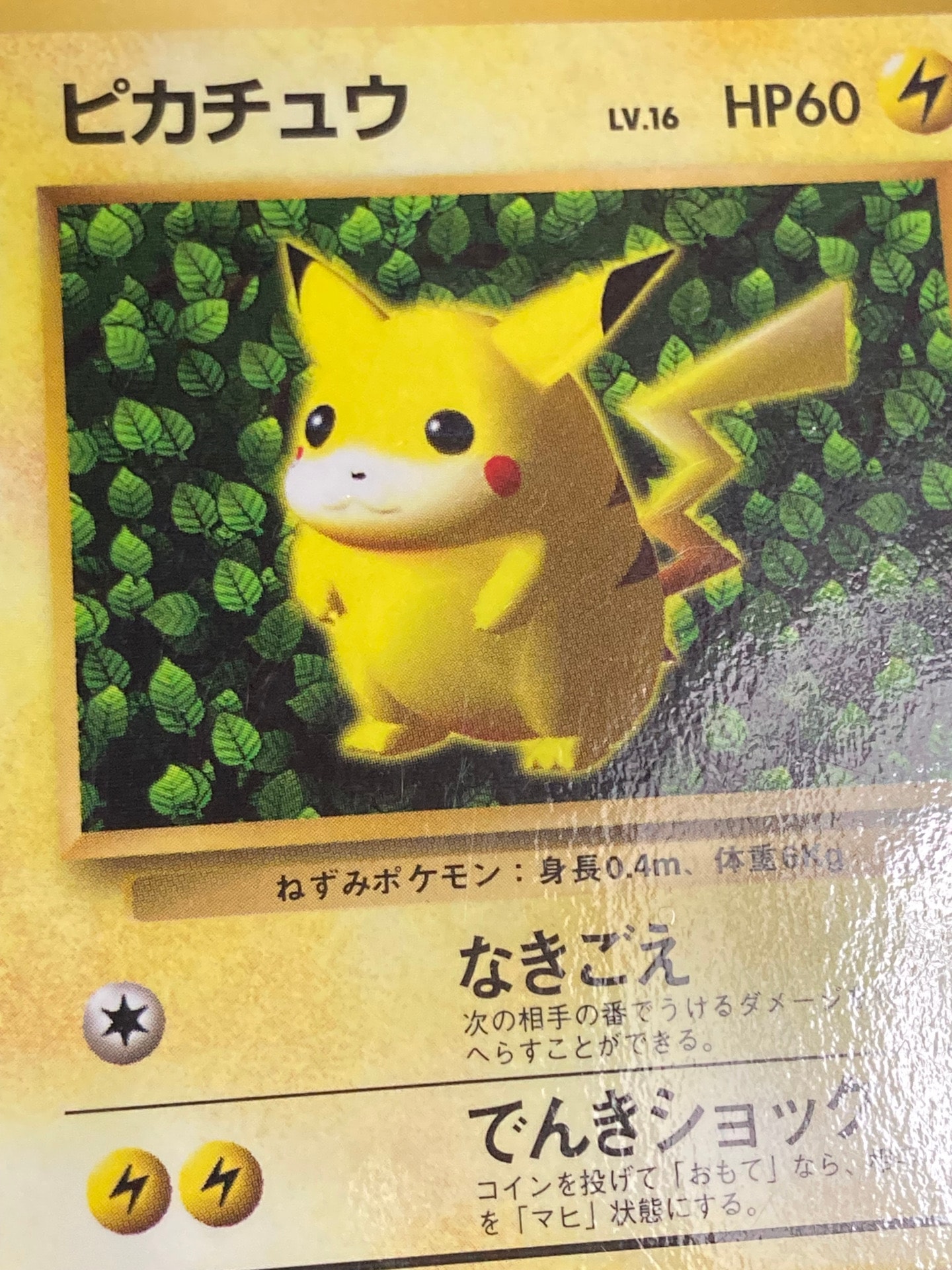 斉*藤様 旧裏 ピカチュウ PSA5 2連番 すぐわかるポケモンカードの遊びかた 斉*藤様 旧裏 ピカチュウ PSA5 2連番 すぐわかるポケモンカードの遊び