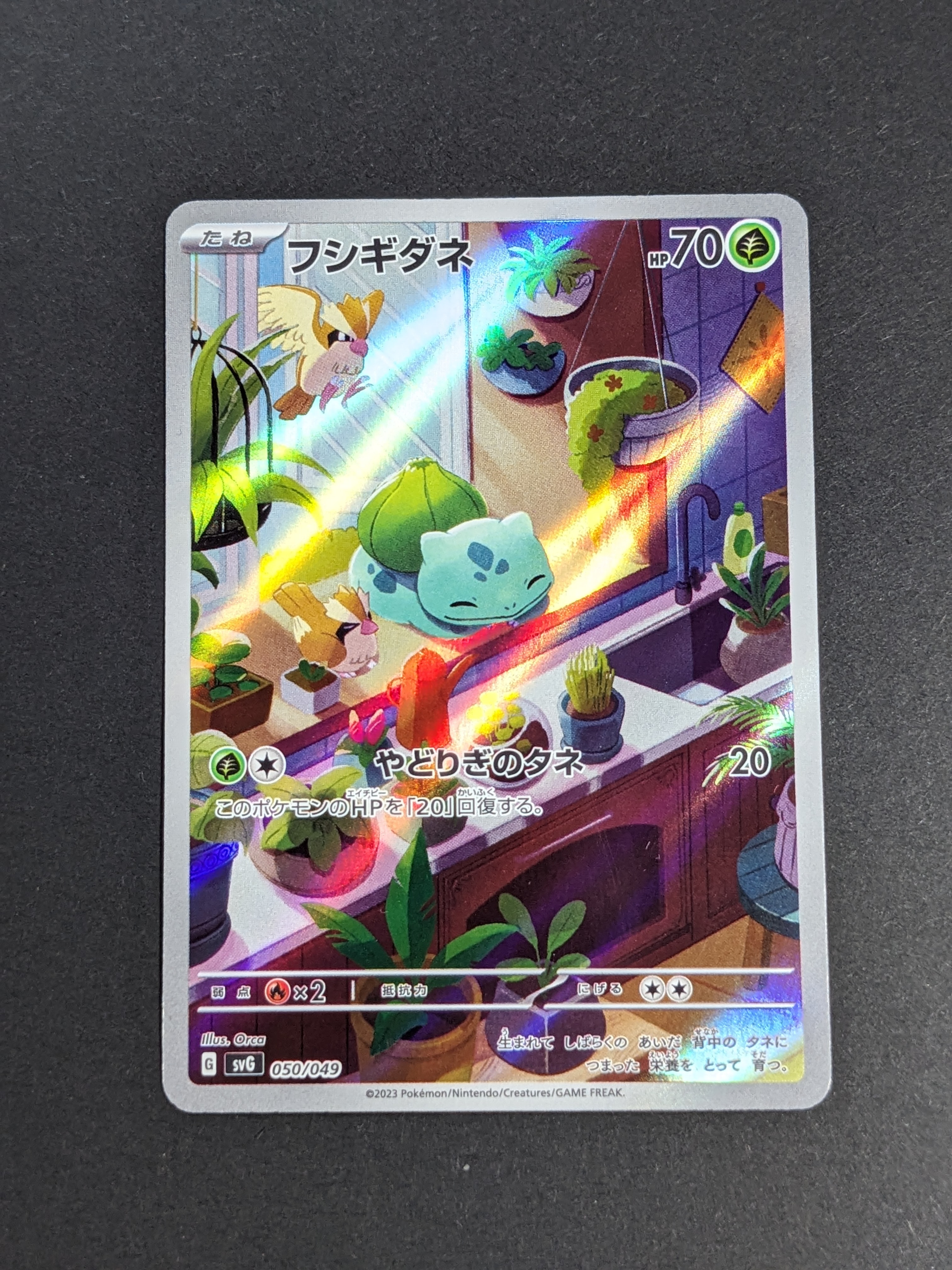 フシギダネ :フルイラスト [SVG 050/049](スペシャルデッキセットex「フシギバナ・リザードン・カメックス」)