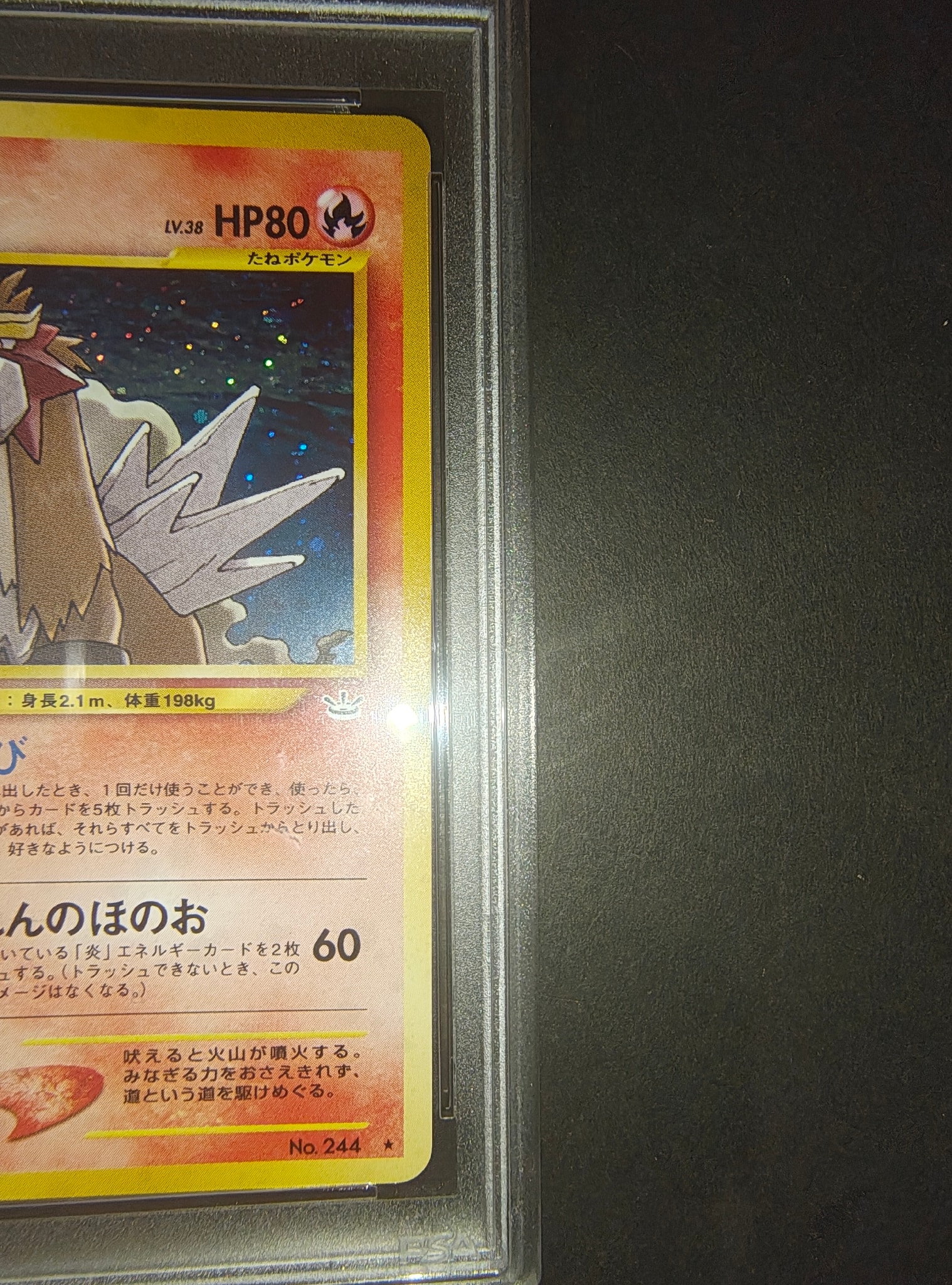 PSA10】エンテイ ☆ : 旧裏 [neo3 No.244](ポケモンカード☆neo 拡張