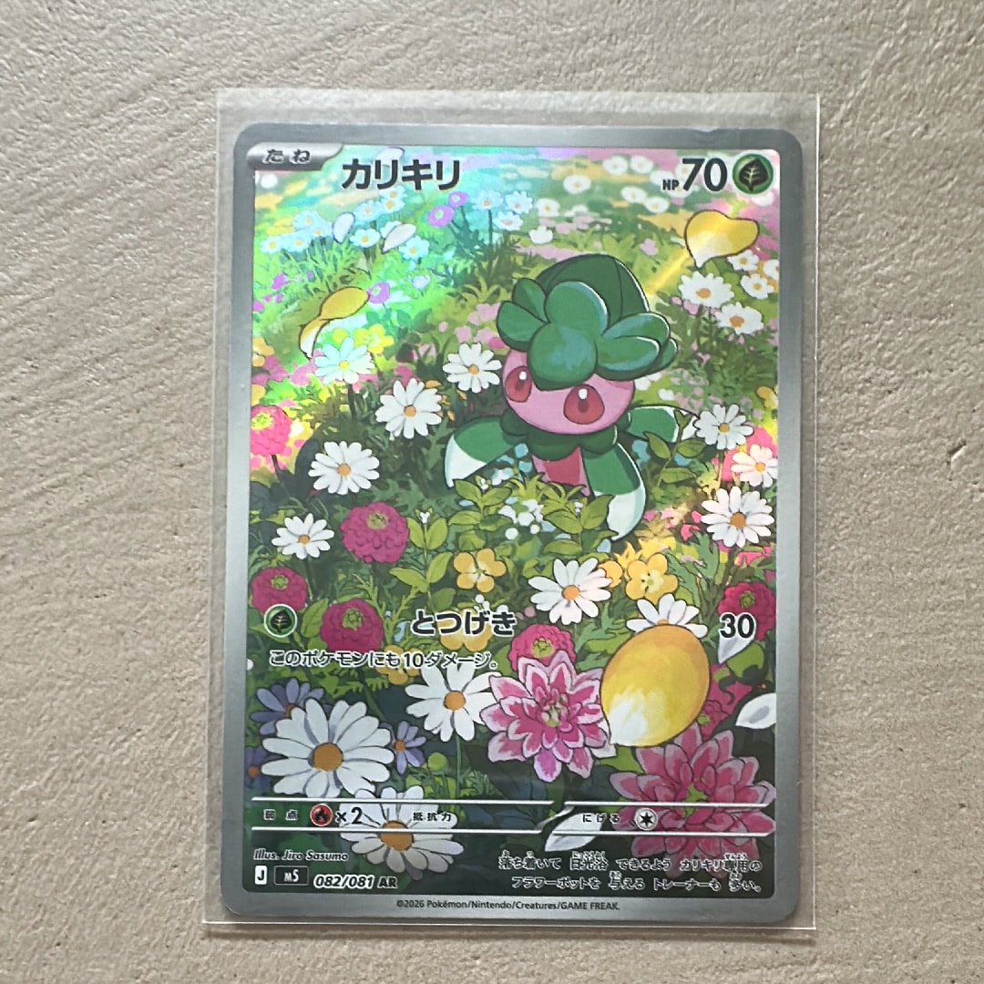 PSA10】ウィンディ P : 旧裏 [PMCG-P No.059](プロモーションカード