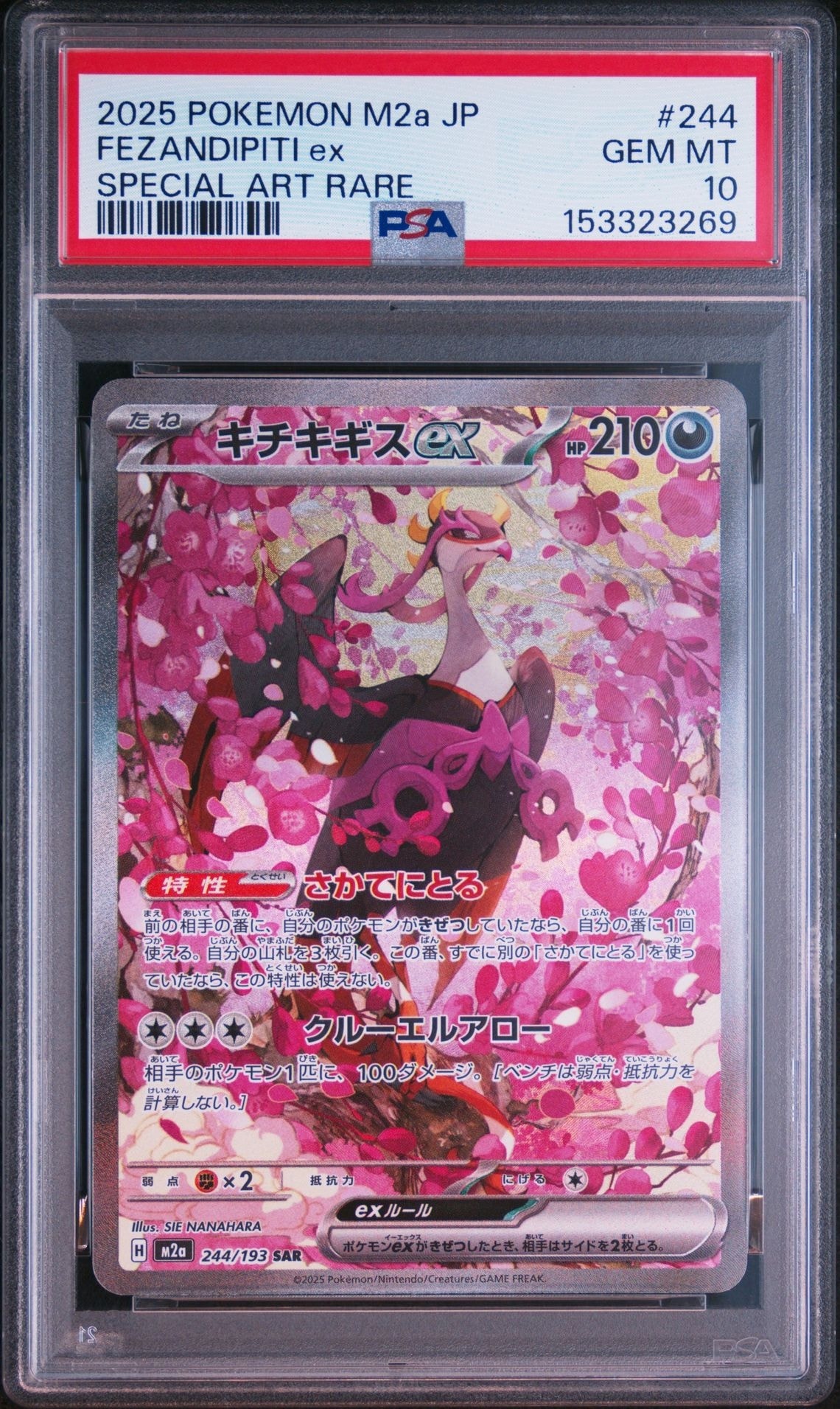 キチキギスex SAR [M2a 244/193](ハイクラスパック「MEGAドリームex