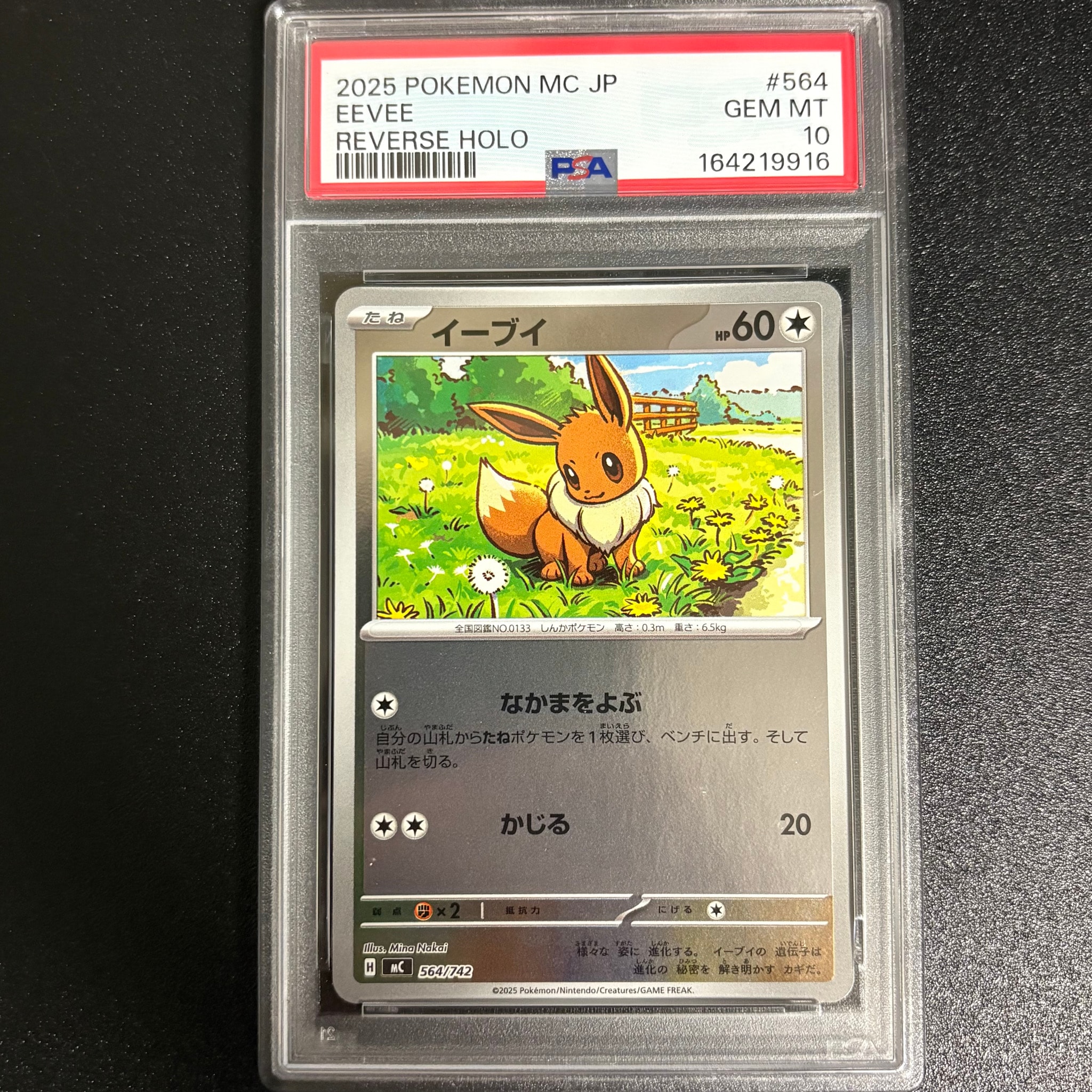 イーブイ :ミラー [MC 564/742](スタートデッキ100「バトルコレクション」)