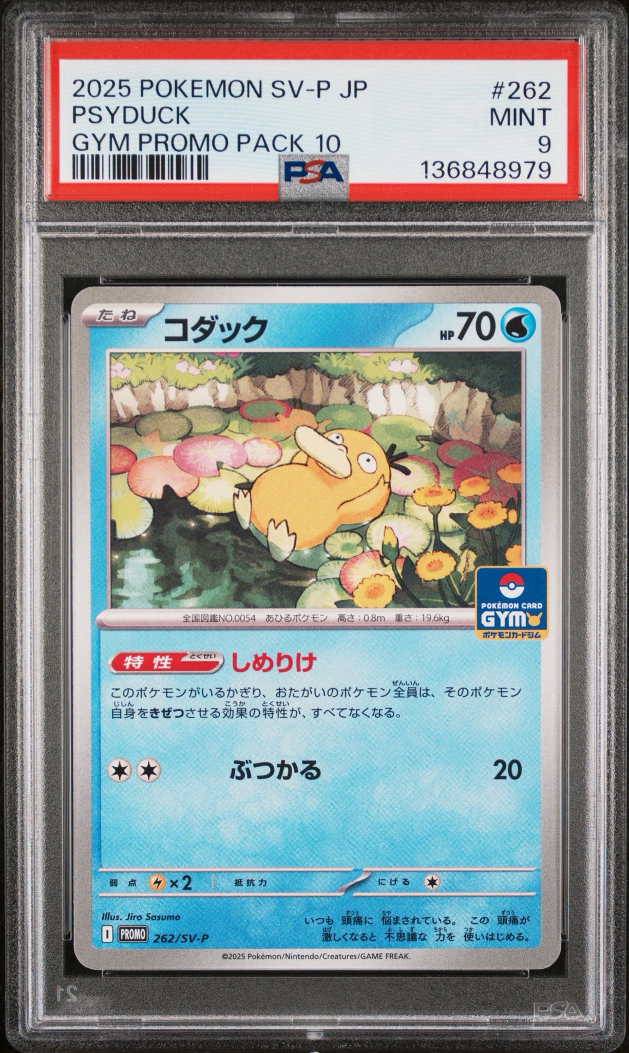 PSA10】コダック P [SV-P 262](プロモカードパック「第10弾」) 1枚の