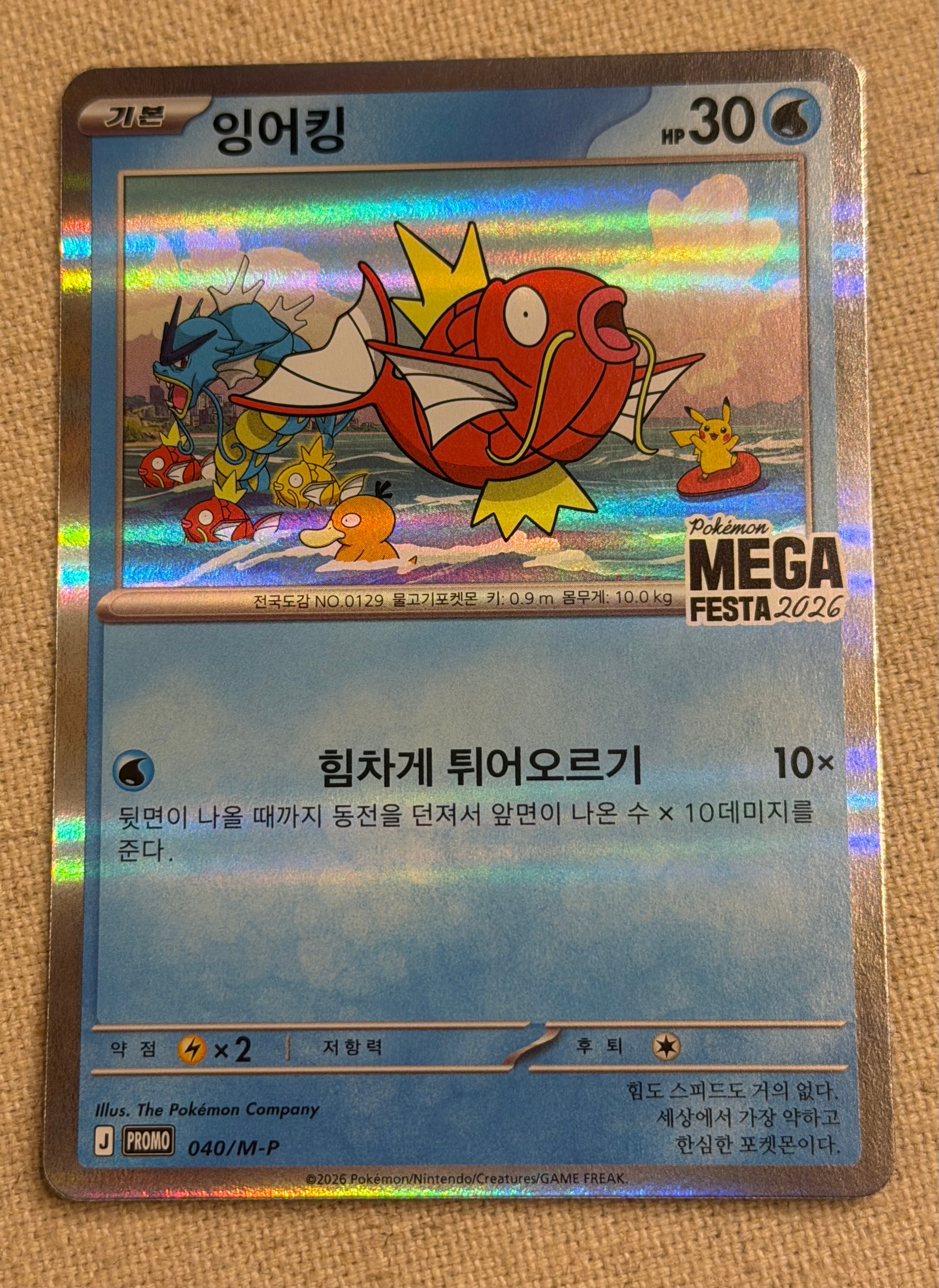 ポケモンカード MEGA FESTA 2026 プロモカードパック コイキング