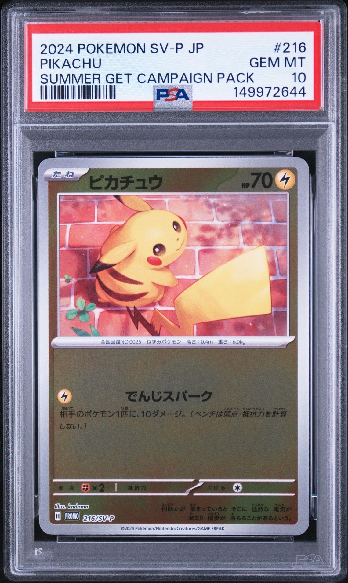 ピカチュウ P [SV-P 216](プロモカードパック「ポケカの夏がキタ!プロモカードGetキャンペーン!」)