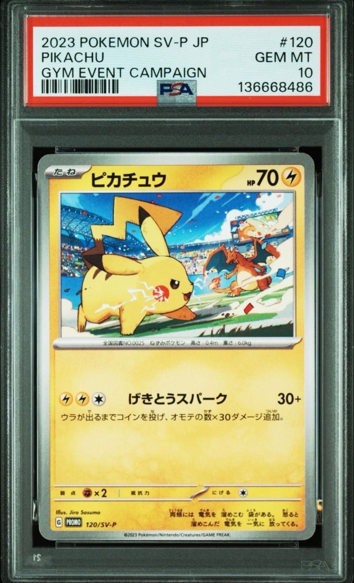 ピカチュウ: プロモ [SV-P 120](プロモーションカード「SV-P」)