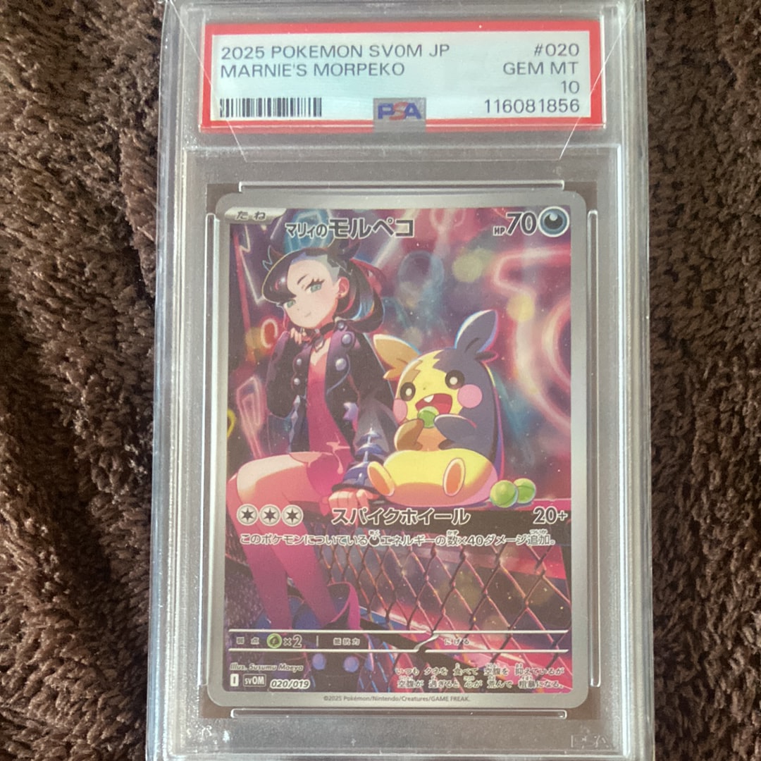 PSA10】マリィのモルペコ [SVOM 020/019](スターターセットex「マリィ