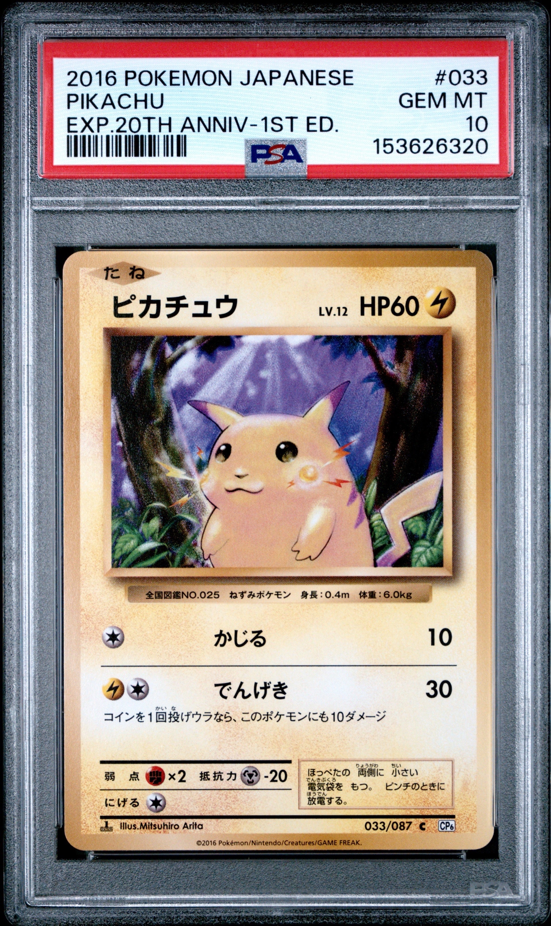 フシギソウ 初版 : 旧裏 [PMCG1-1](拡張パック「ポケットモンスター
