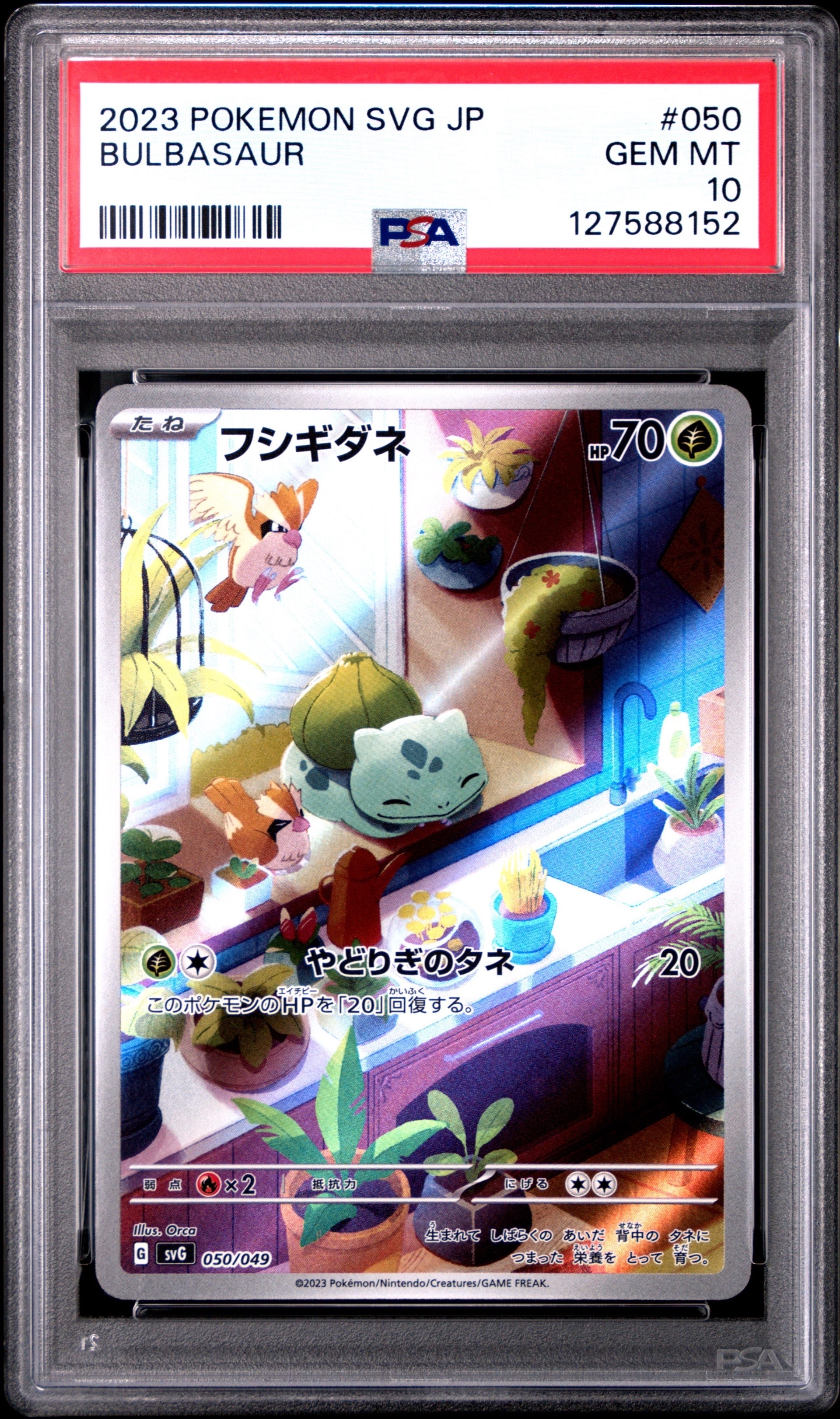 フシギダネ :フルイラスト [SVG 050/049](スペシャルデッキセットex「フシギバナ・リザードン・カメックス」)