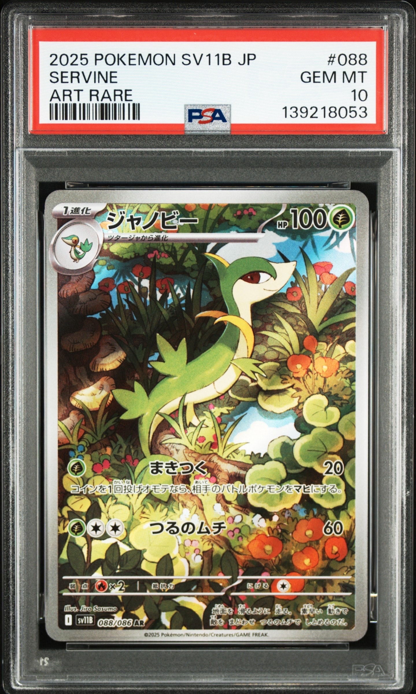 ジャノビー AR [SV11B 088/086](拡張パック「ブラックボルト」)