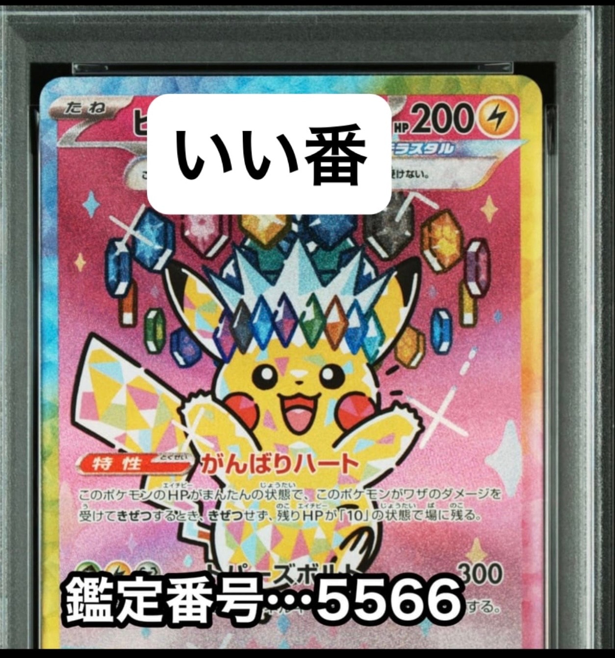 ピカチュウ pokemon card game psa10のおすすめアイテム(3ページ目 ピカチュウ pokemon card game psa10のおすすめアイテム(3ページ目