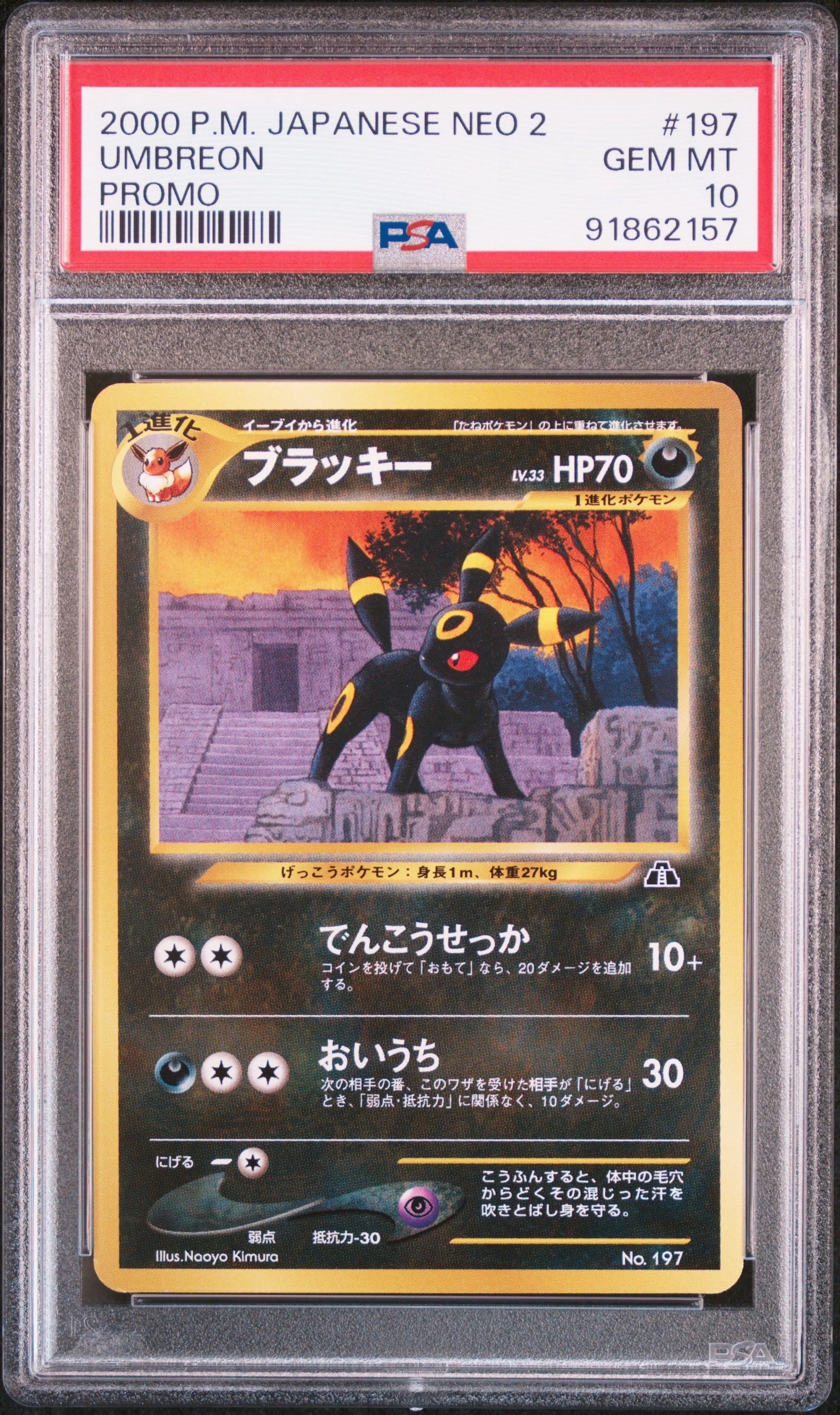 ブラッキープレミアムファイル2: 旧裏[neoP2 No.197](プレミアムファイル2)