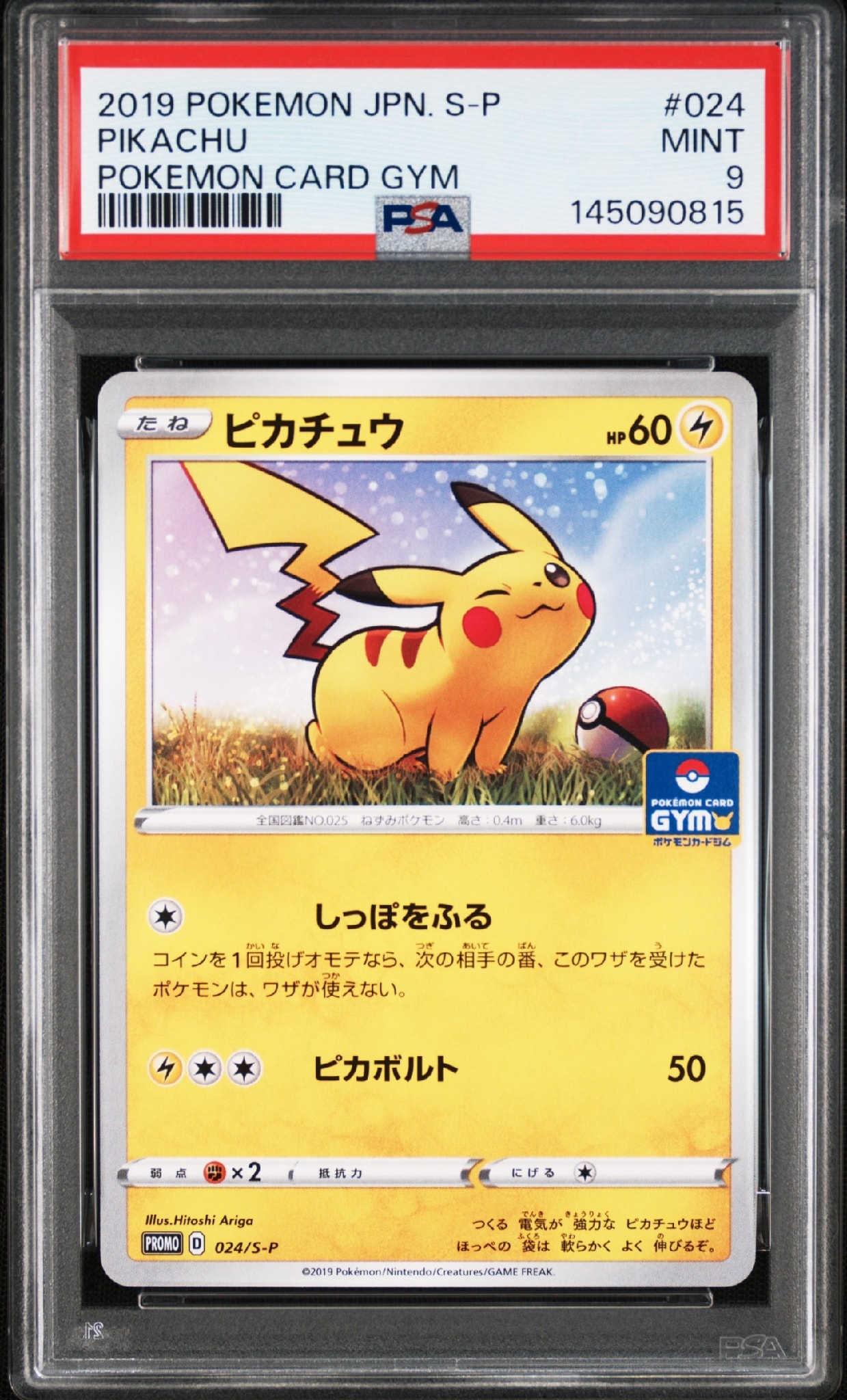 ピカチュウ: プロモ P [S-P 024](ポケモンカードゲーム ソード
