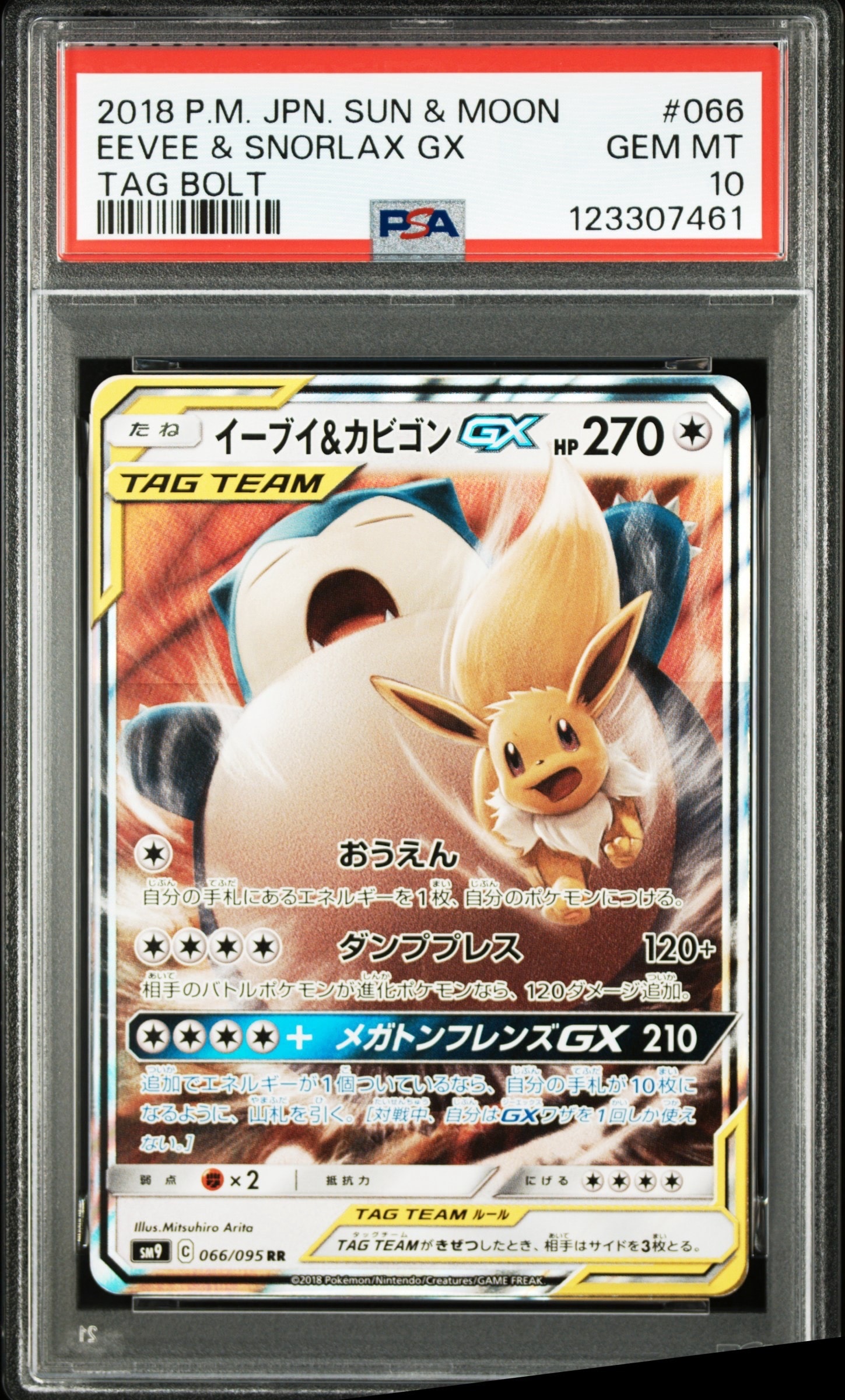 イーブイ&カビゴンGX RR [SM9 066/095](拡張パック「タッグボルト」)