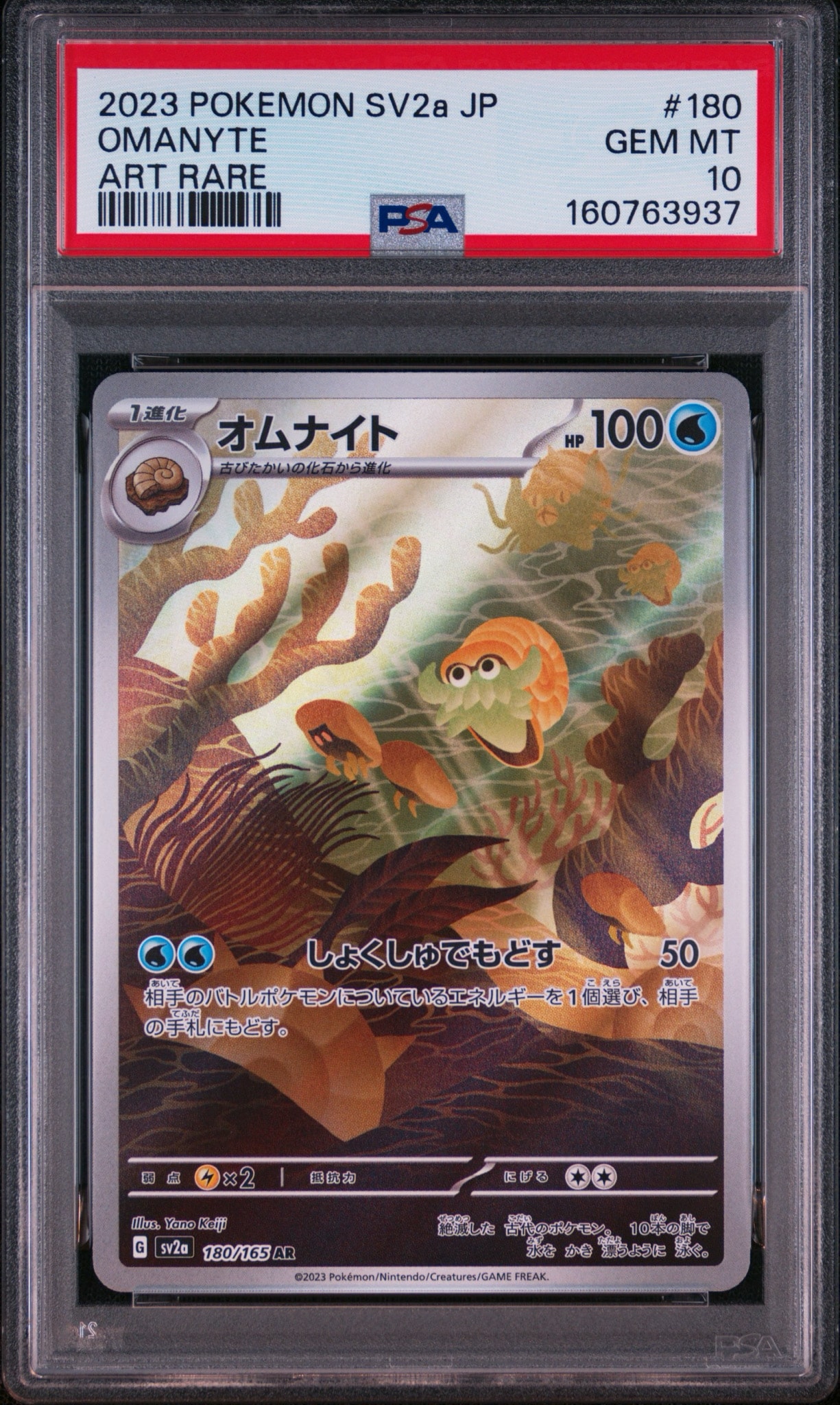 オムナイト AR[SV2a 180/165](強化拡張パック「ポケモンカード151」)