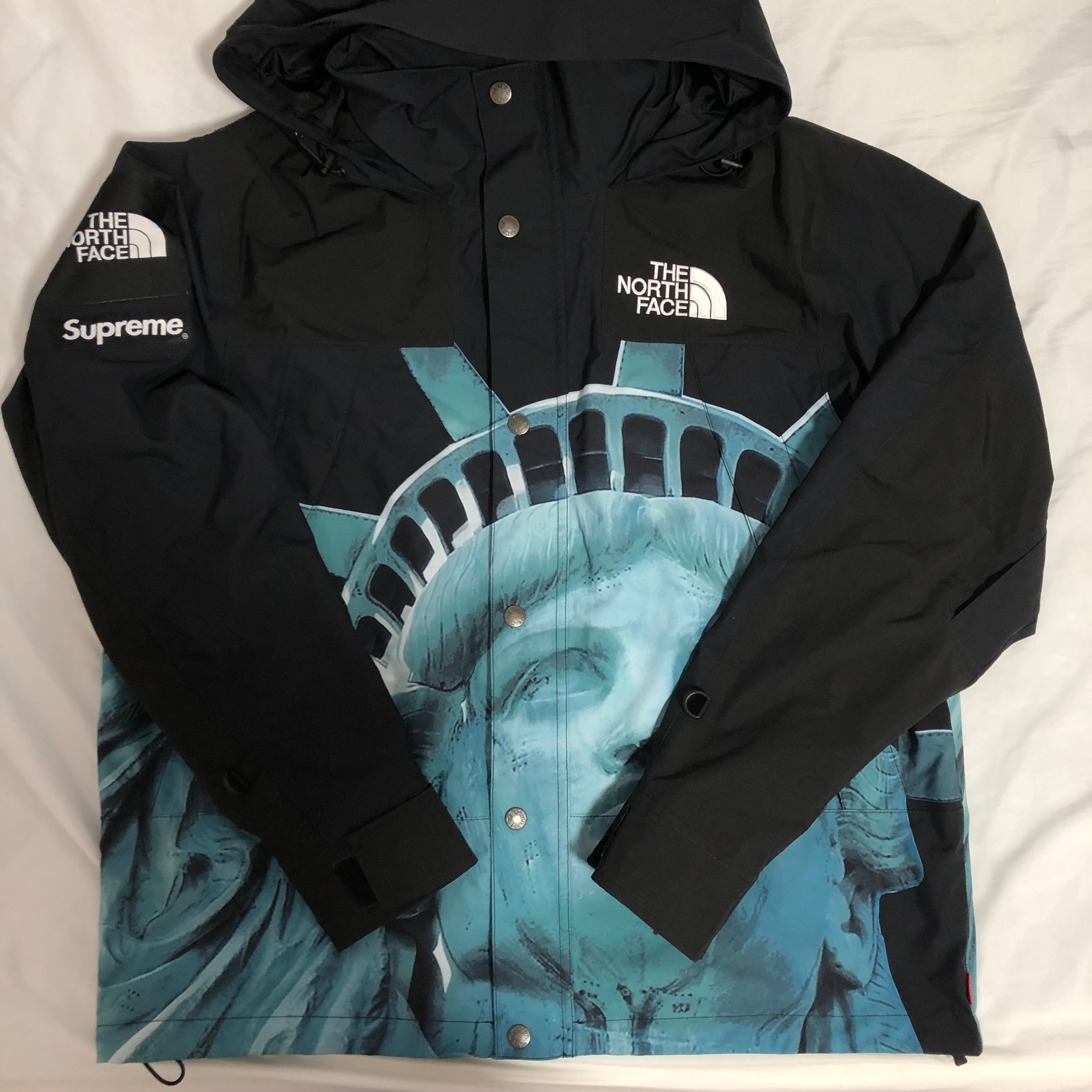 Supreme x The North Face Statue of Liberty Mountain Jacket "Black"