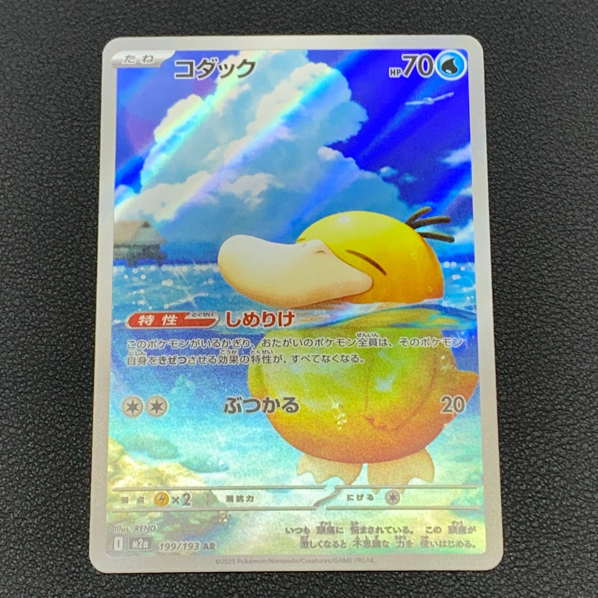 コダック AR [M2a 199/193](ハイクラスパック「MEGAドリームex」)通販