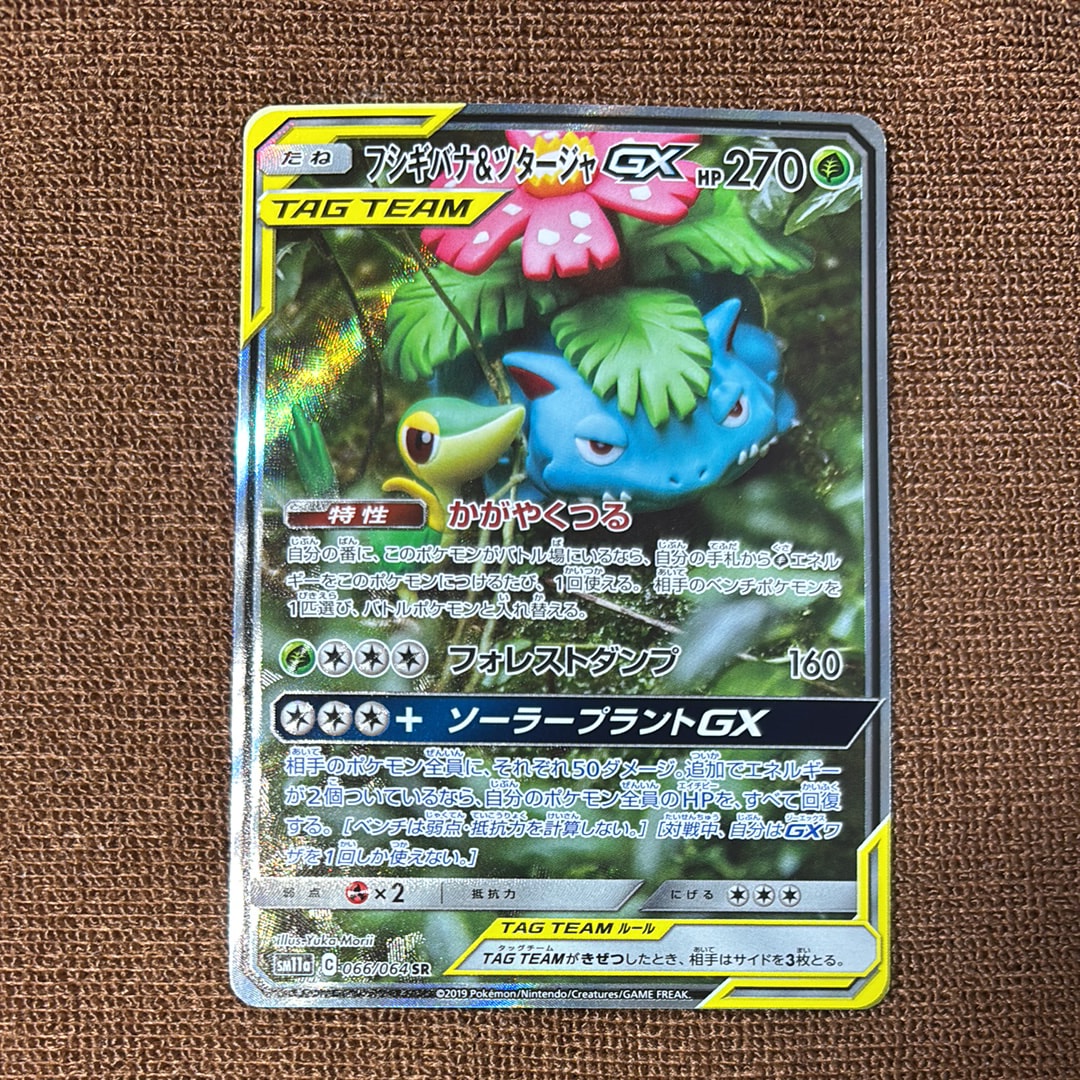 PSA10】フシギバナ&ツタージャGX SR: SA[SM11a 066/064](強化拡張