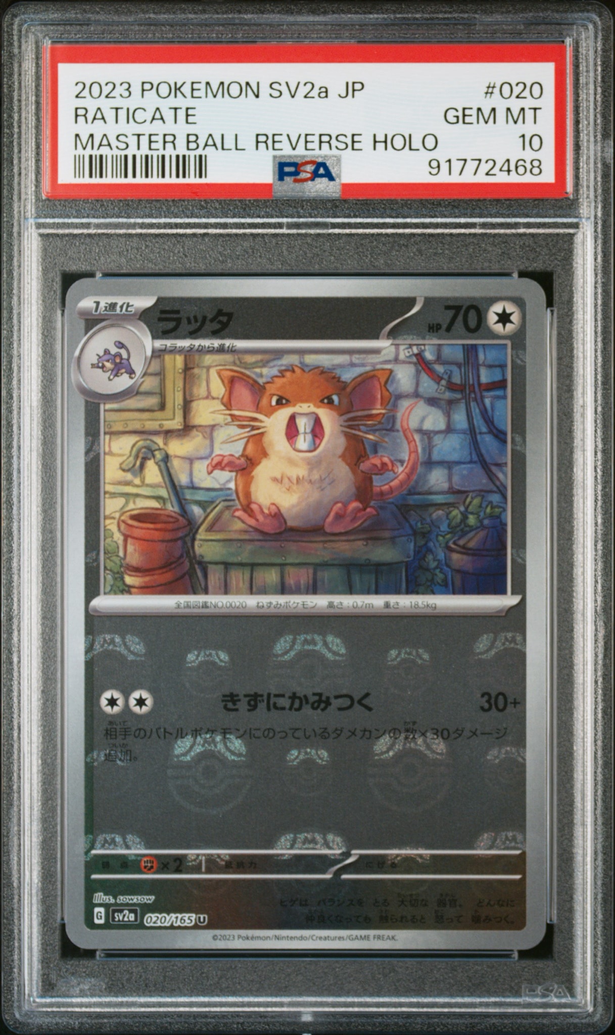 PSA10】コイキング C[S1a 020/070](強化拡張パック「VMAXライジング