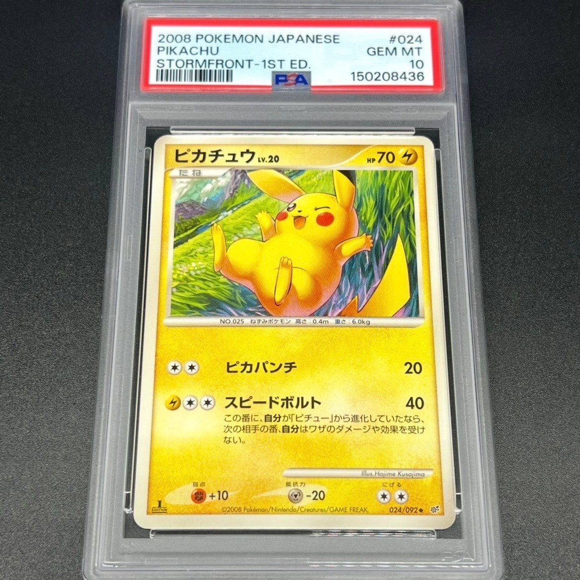 ピカチュウ: プロモ[SM-P 224](プロモーションカード「SM-P」)の新品