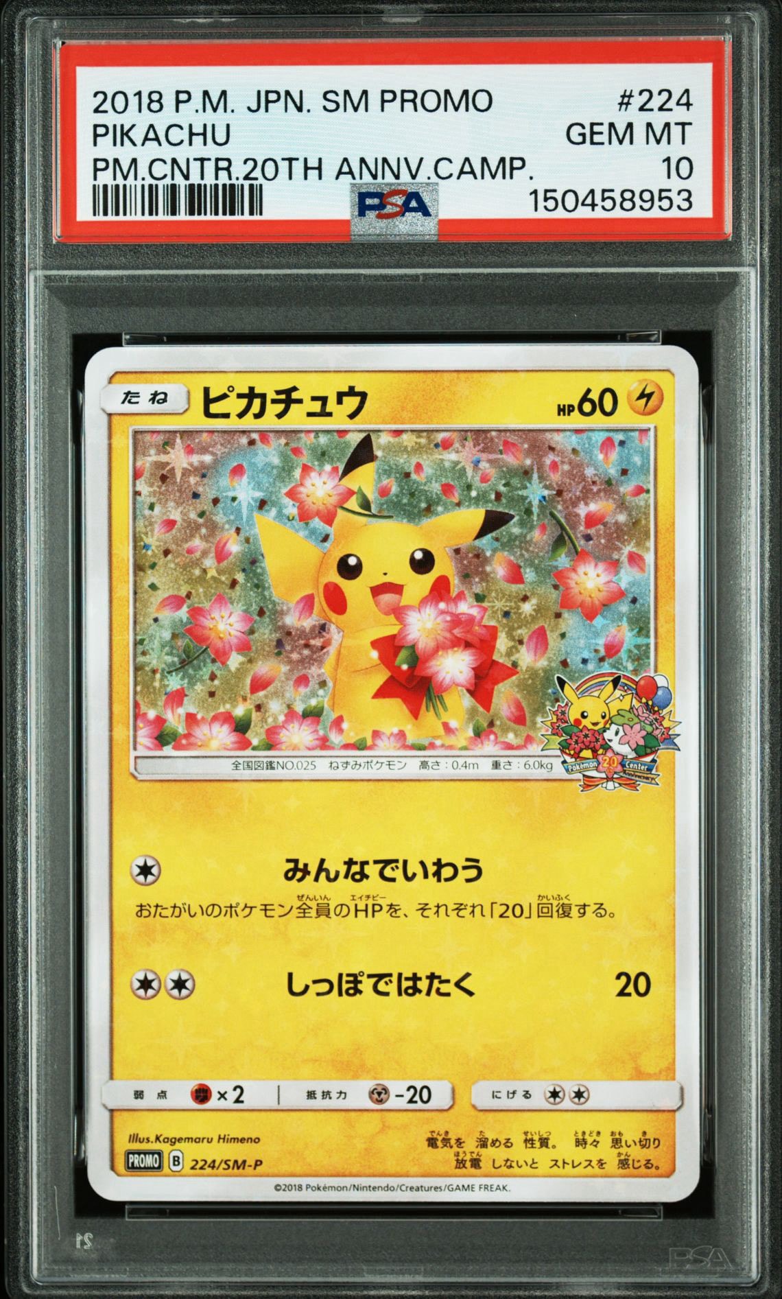 PSA10】ピカチュウ: プロモ[SM-P 224](プロモーションカード「SM-P