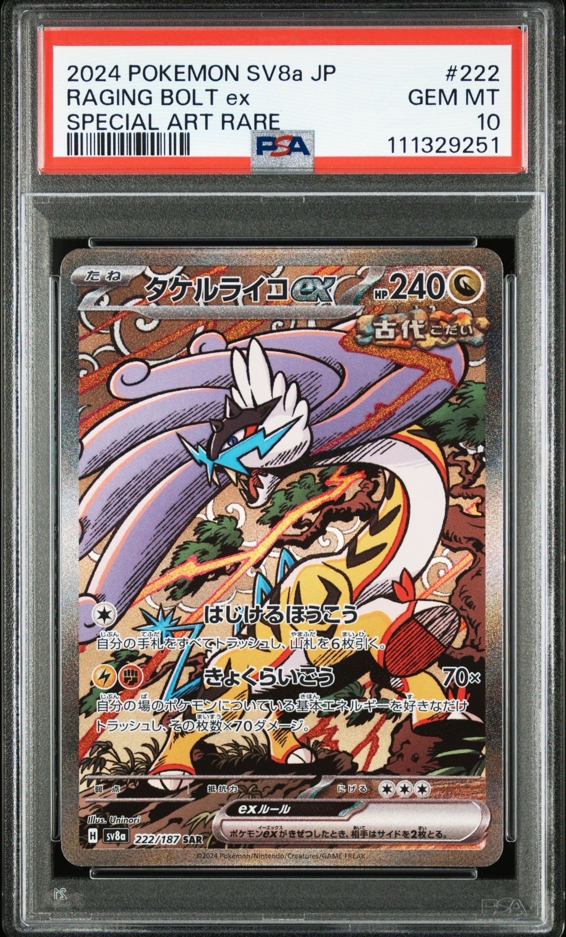 タケルライコex SAR [SV8a 222/187](ハイクラスパック「テラスタルフェスex」)