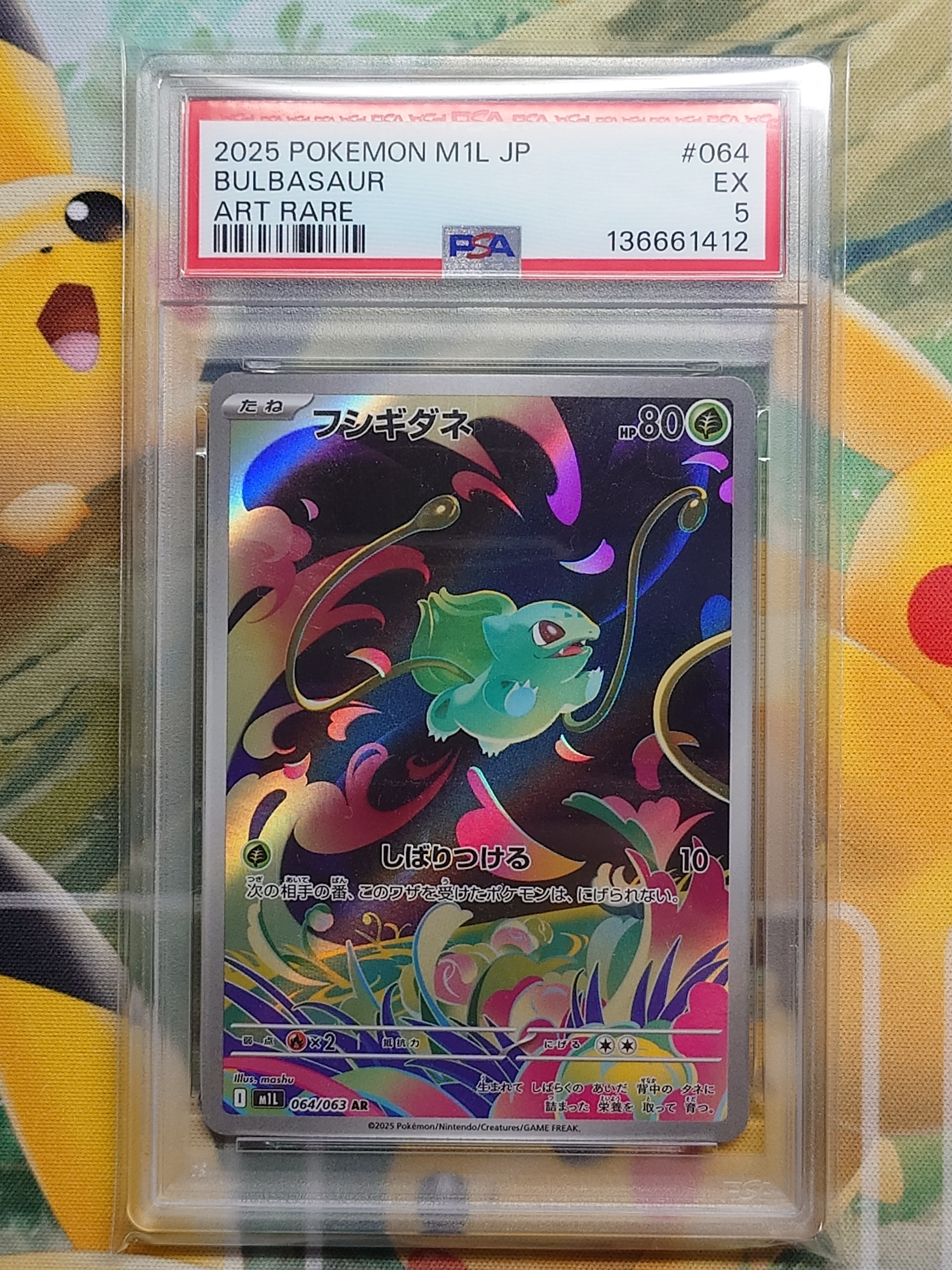 センパイとコウハイ SR :1ED [XY5-G 077/070](拡張パック「ガイア