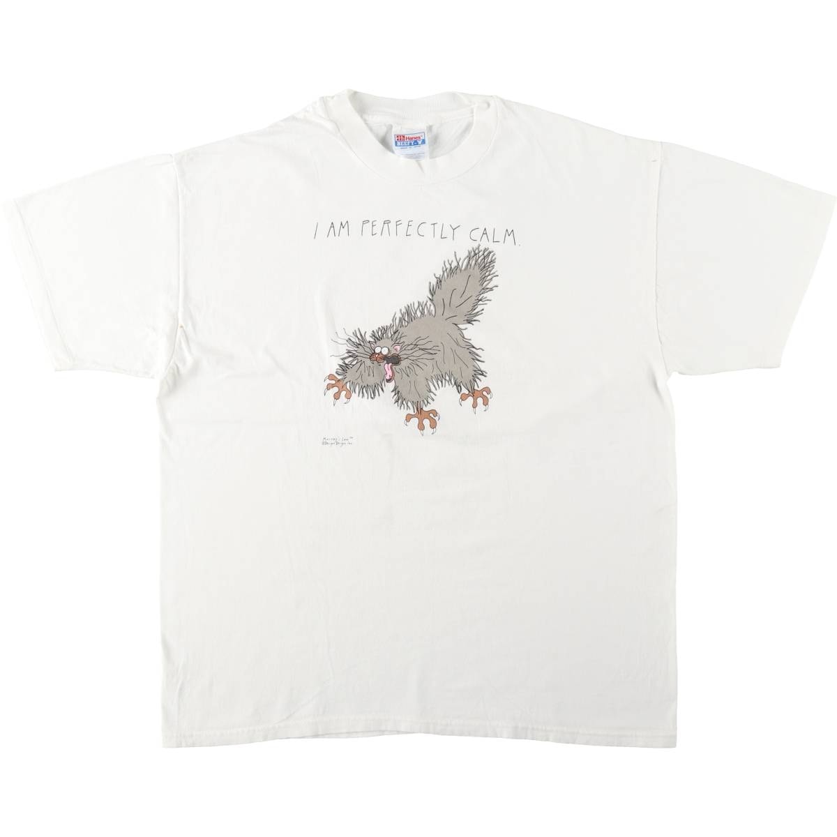 古着 90~00年代 ヘインズ Hanes BEEFY-T ネコ柄 メッセージプリントTシャツ メンズXL相当 ヴィンテージ/eaa654136