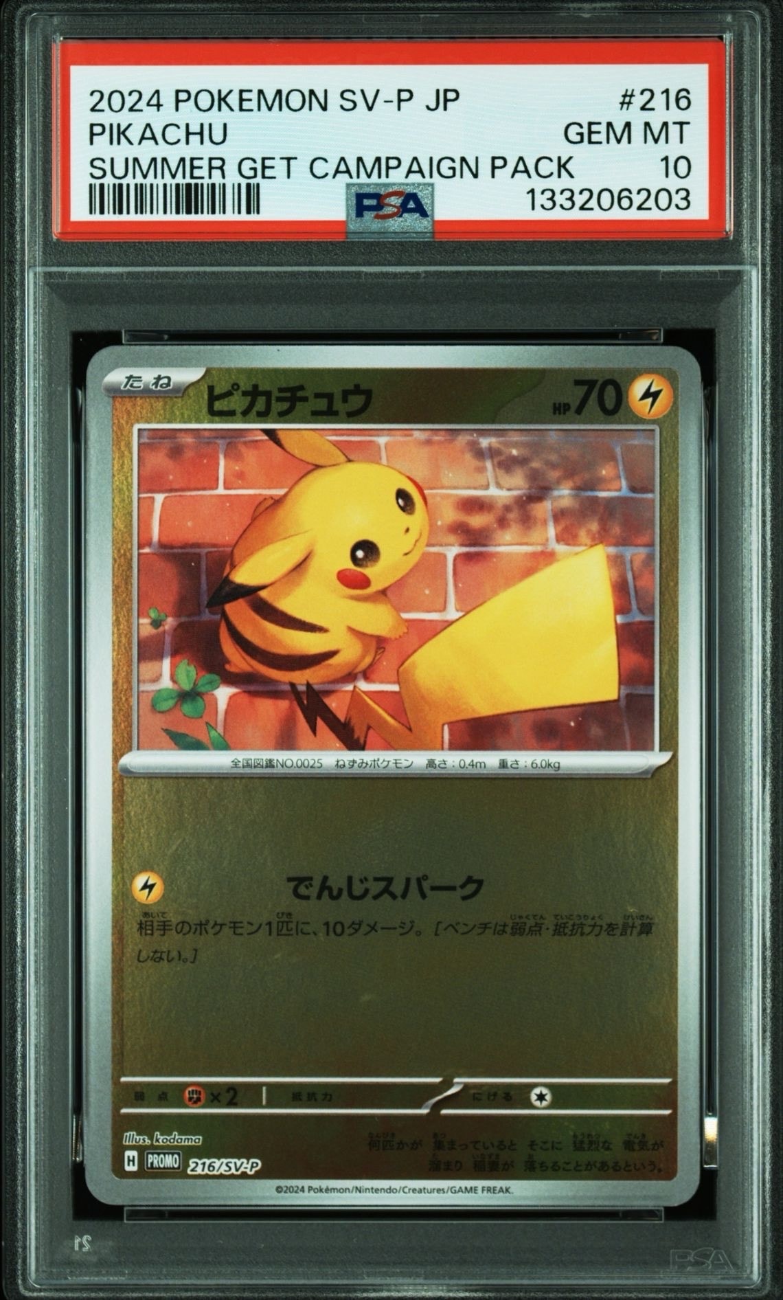 ピカチュウ P [SV-P 216](プロモカードパック「ポケカの夏がキタ!プロモカードGetキャンペーン!」)