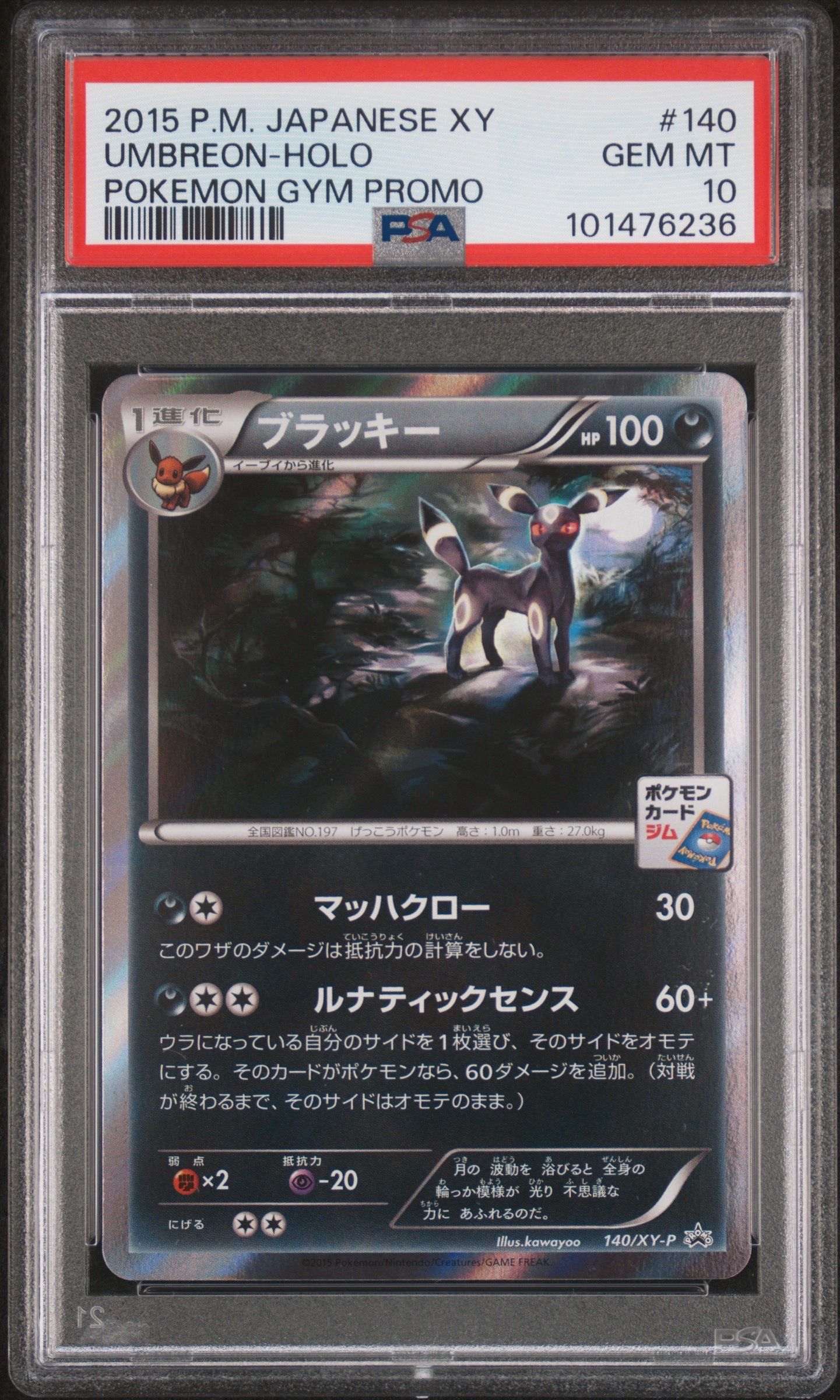 ブラッキー: プロモ[XY-P 140/XY-P](プロモーションカード「XY-P」)の