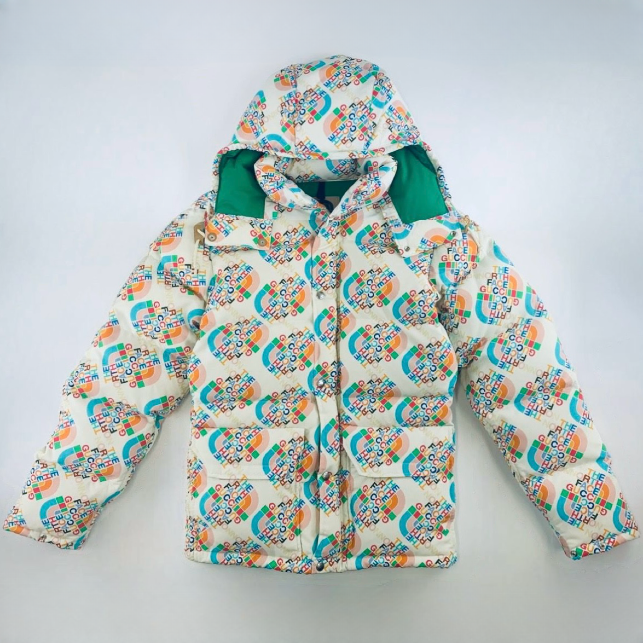 【未使用】GUCCI × THE NORTH FACE ダウンジャケット