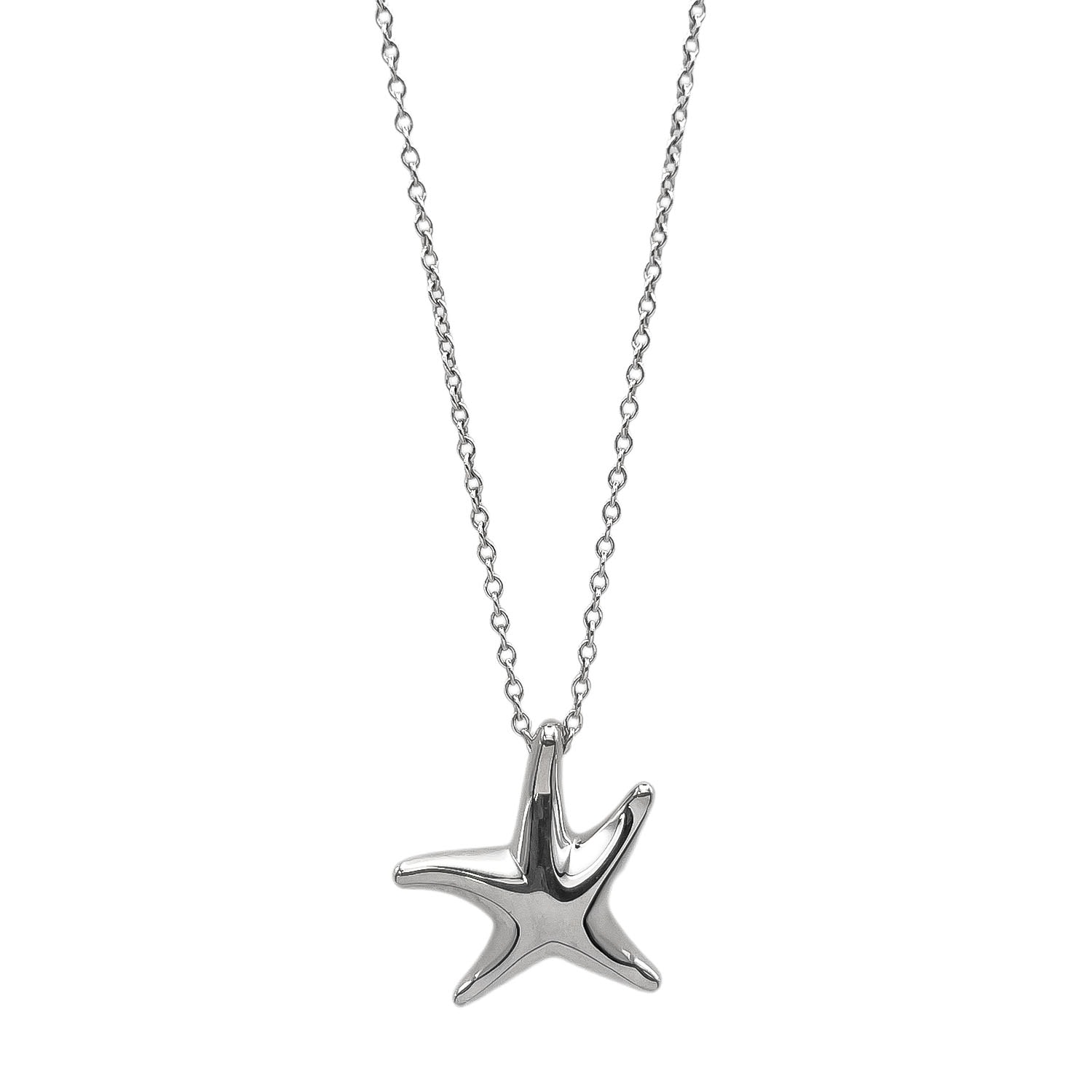 TIFFANY&Co. ティファニー スターフィッシュ 星 ネックレス
ペンダント エルサペレッティ SV925 シルバー 新品仕上済 レディース
【中古】