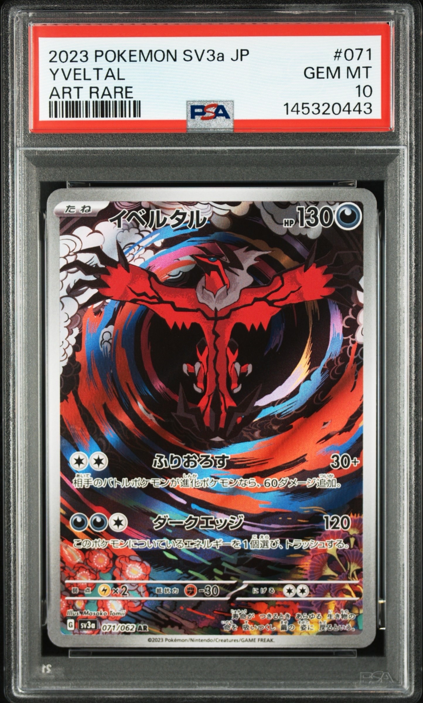 Yveltal AR[SV3a 071/062](Enhanced Expansion Pack "Raging Surf")
