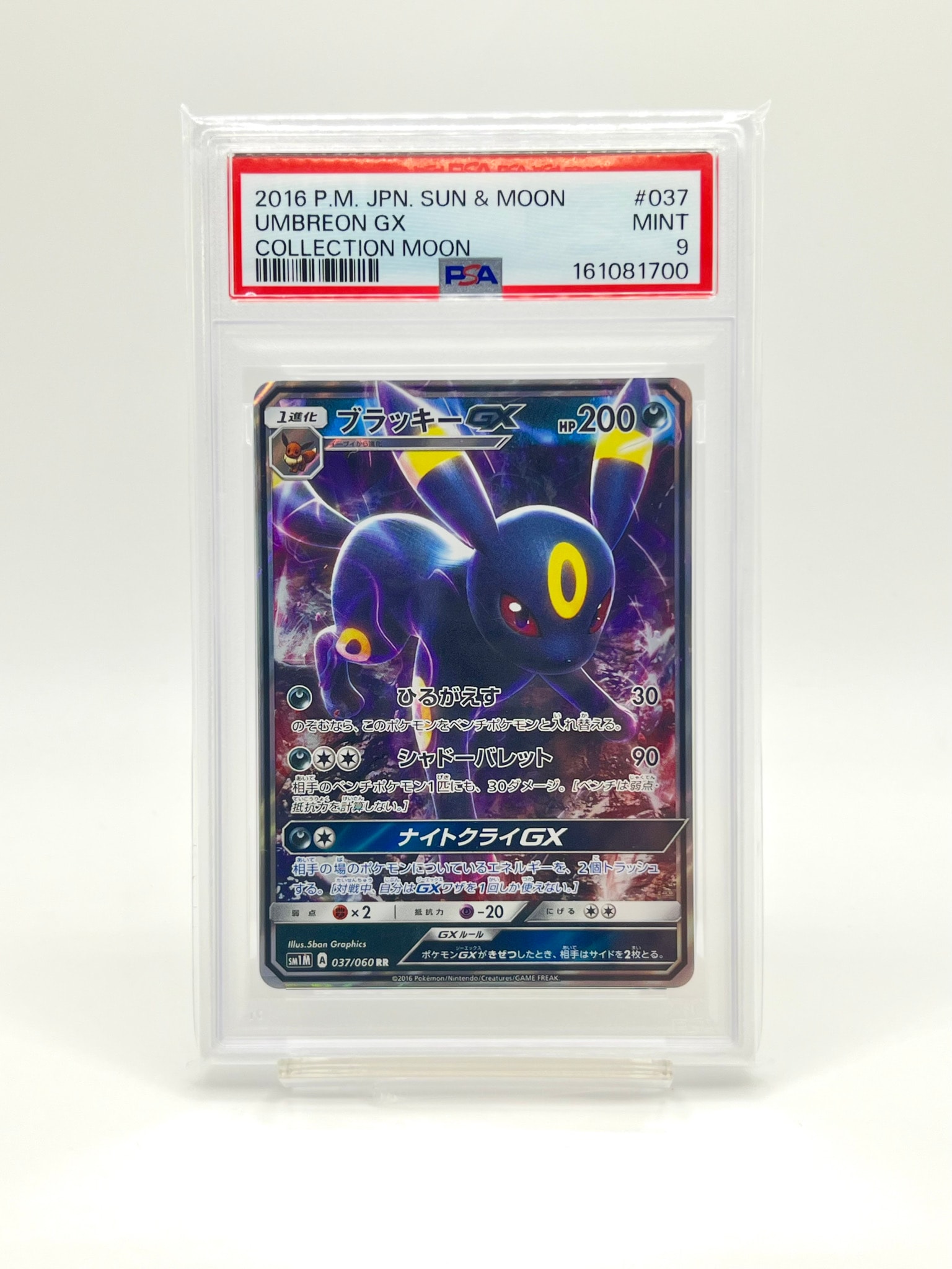 PSA10】ブラッキーGX RR[SM1M 037/060](拡張パック「コレクション