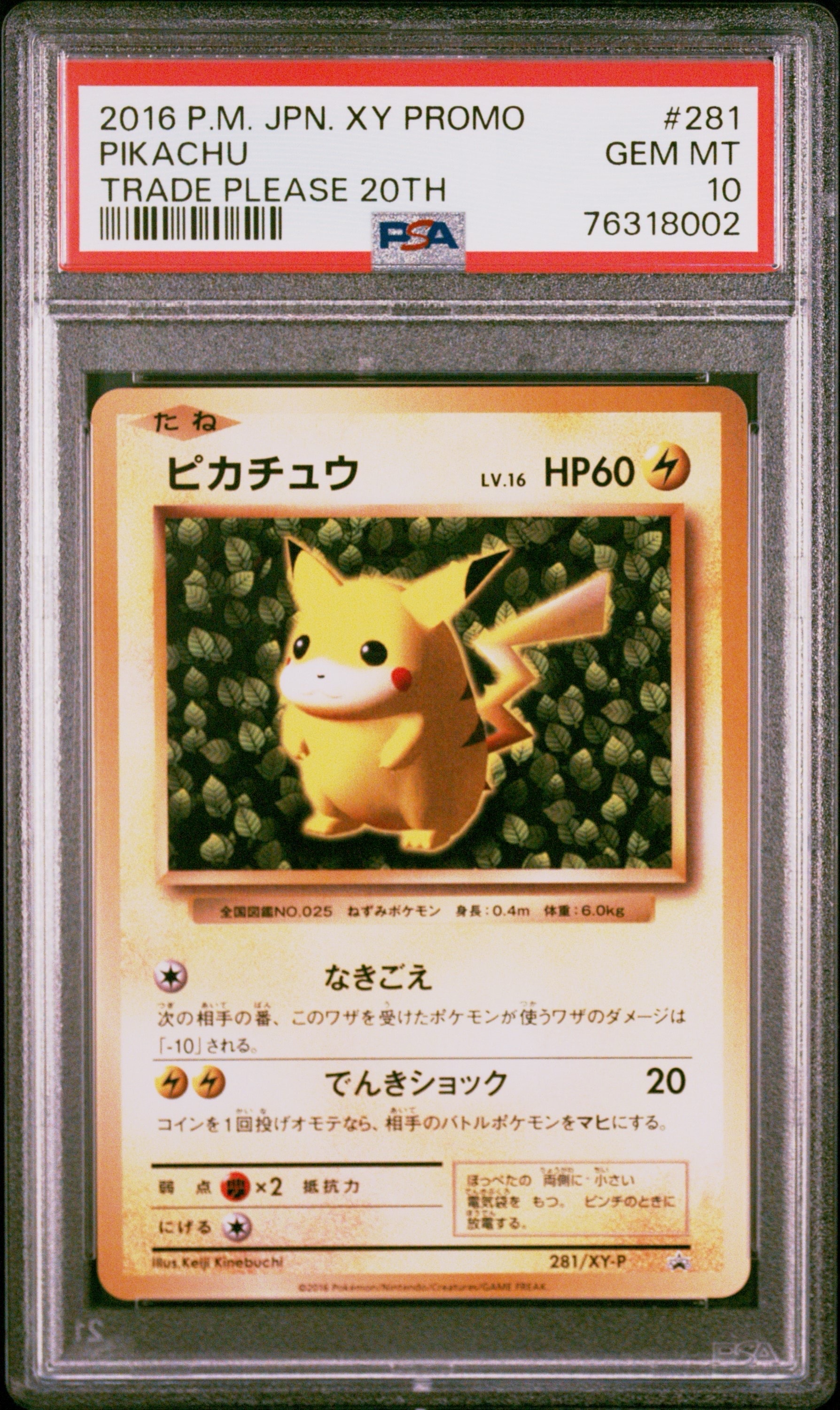 PSA10】ピカチュウ: バトルフェスタ2015プロモ[XY-P 175/XY-P