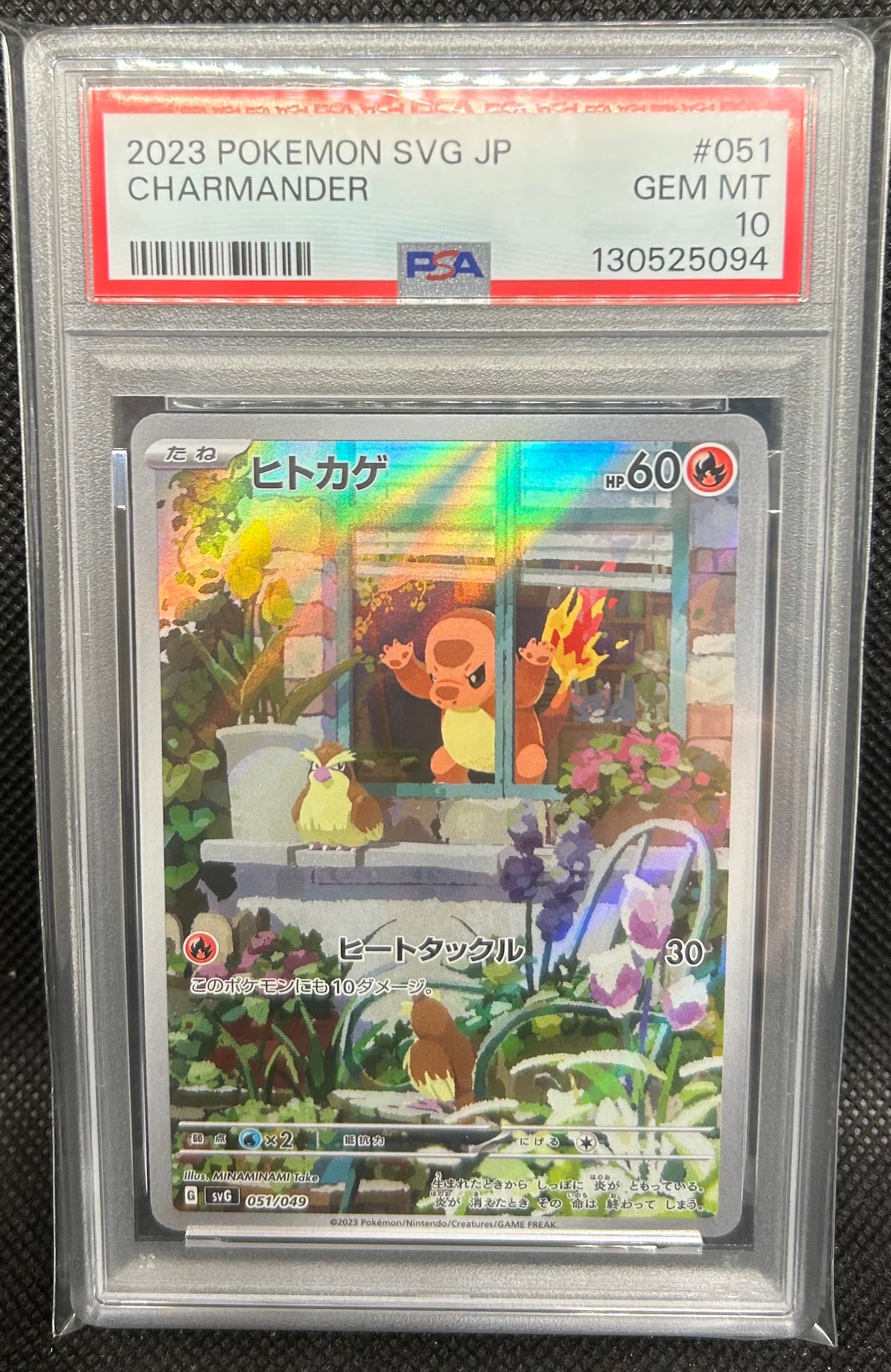 ヒトカゲ :フルイラスト [SVG 051/049](スペシャルデッキセットex「フシギバナ・リザードン・カメックス」)