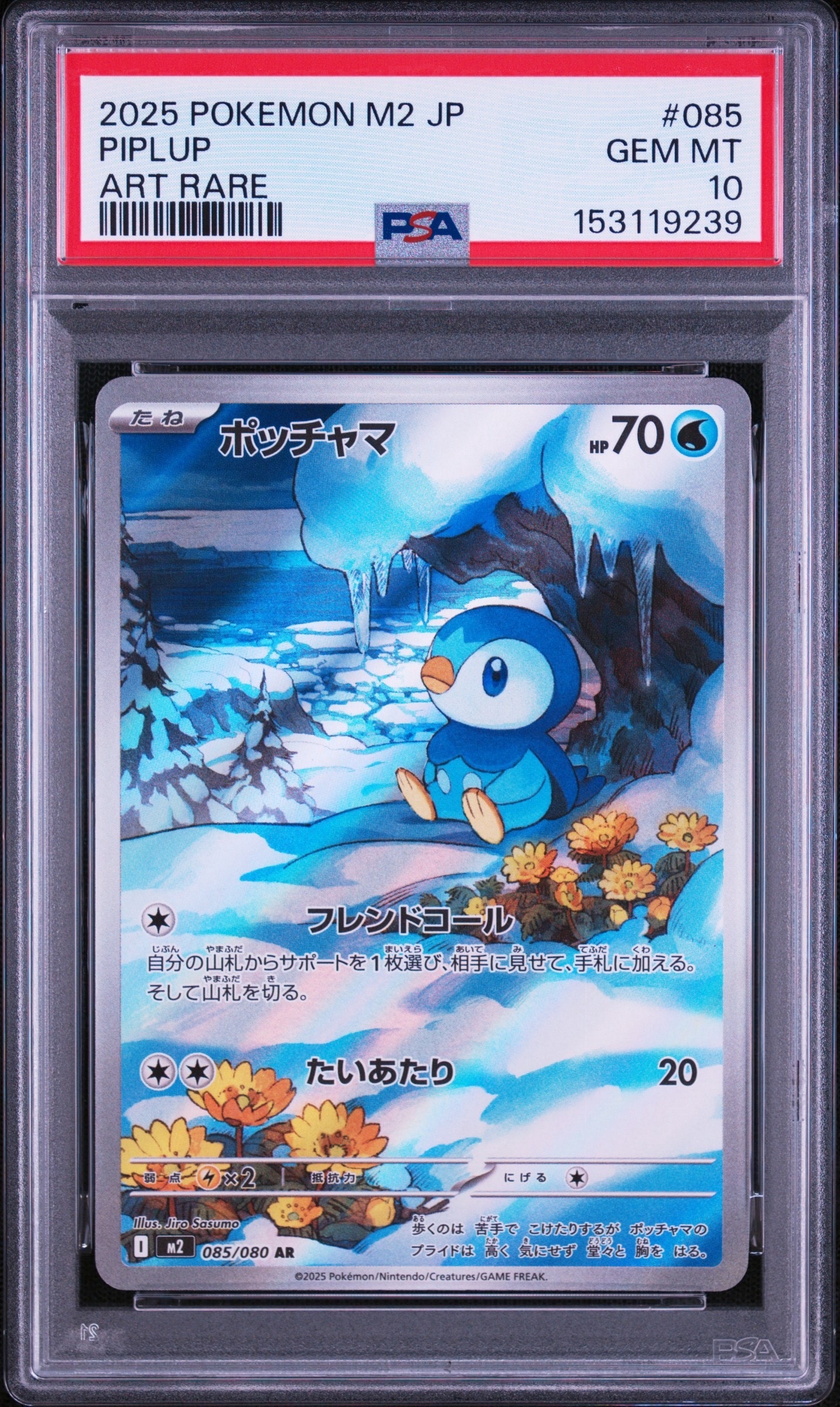 PSA10】ポッチャマ AR [M2 085/080](拡張パック「インフェルノX」) 1枚