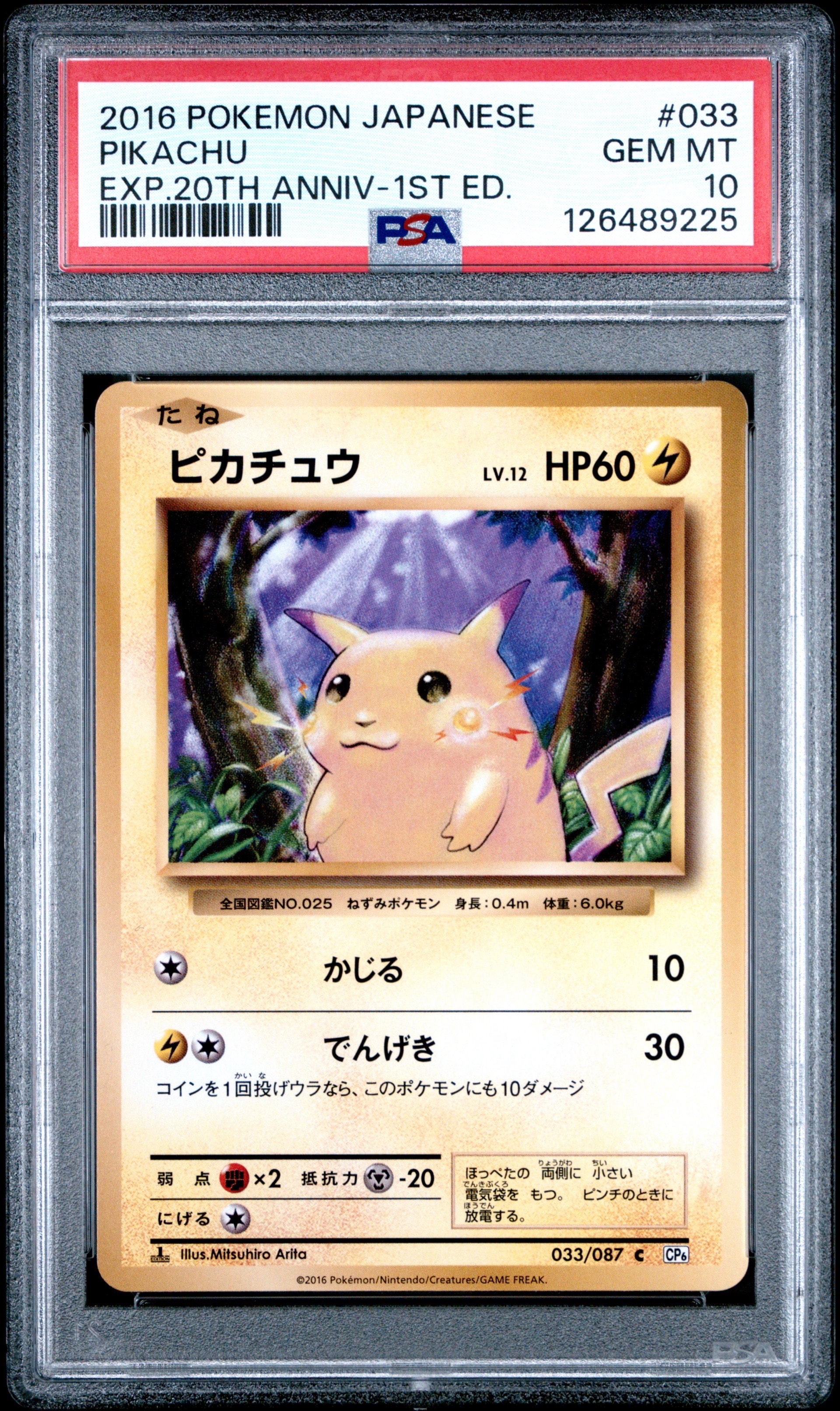 ピカチュウ C :1ED [CP6 033/087](コンセプトパック「ポケットモンスターカードゲーム 拡張パック 20th Anniversary」)