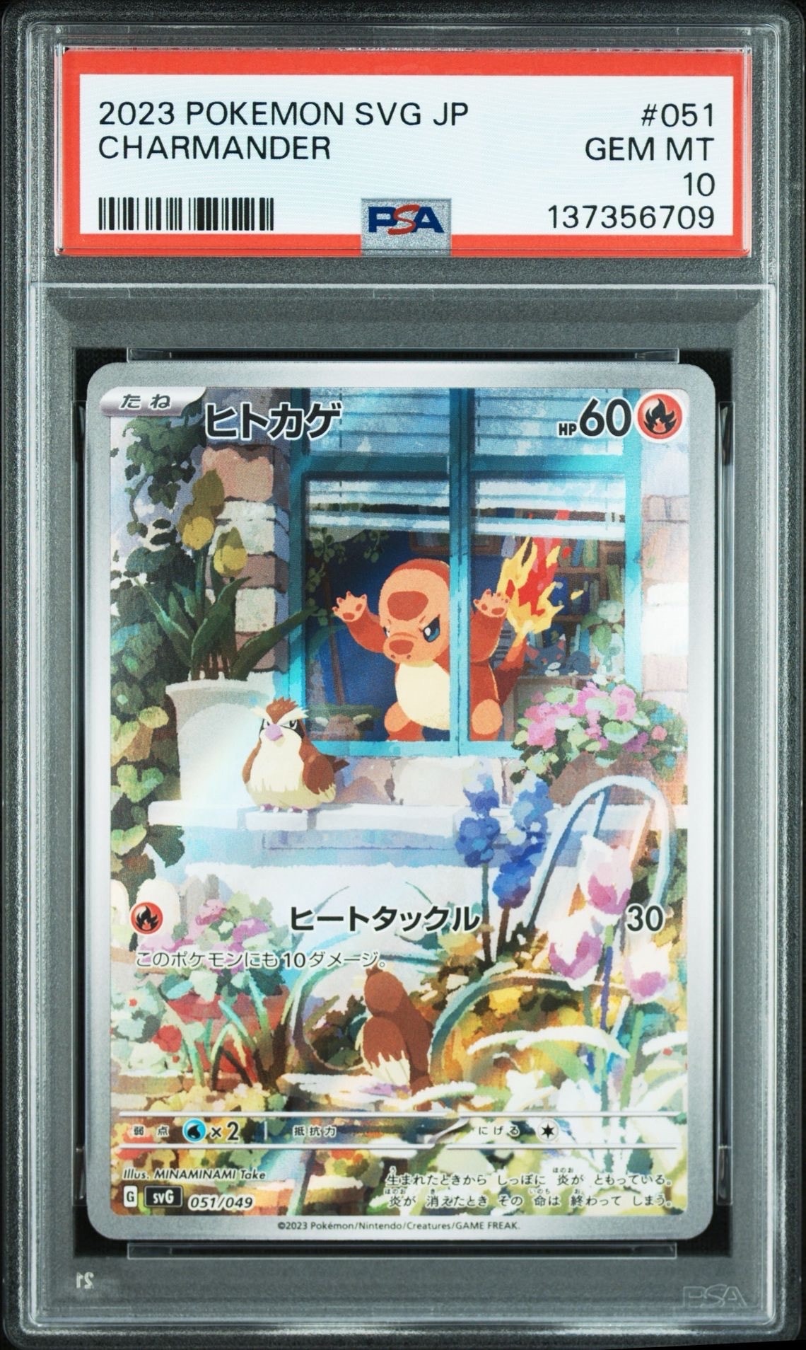 ヒトカゲ :フルイラスト [SVG 051/049](スペシャルデッキセットex「フシギバナ・リザードン・カメックス」)