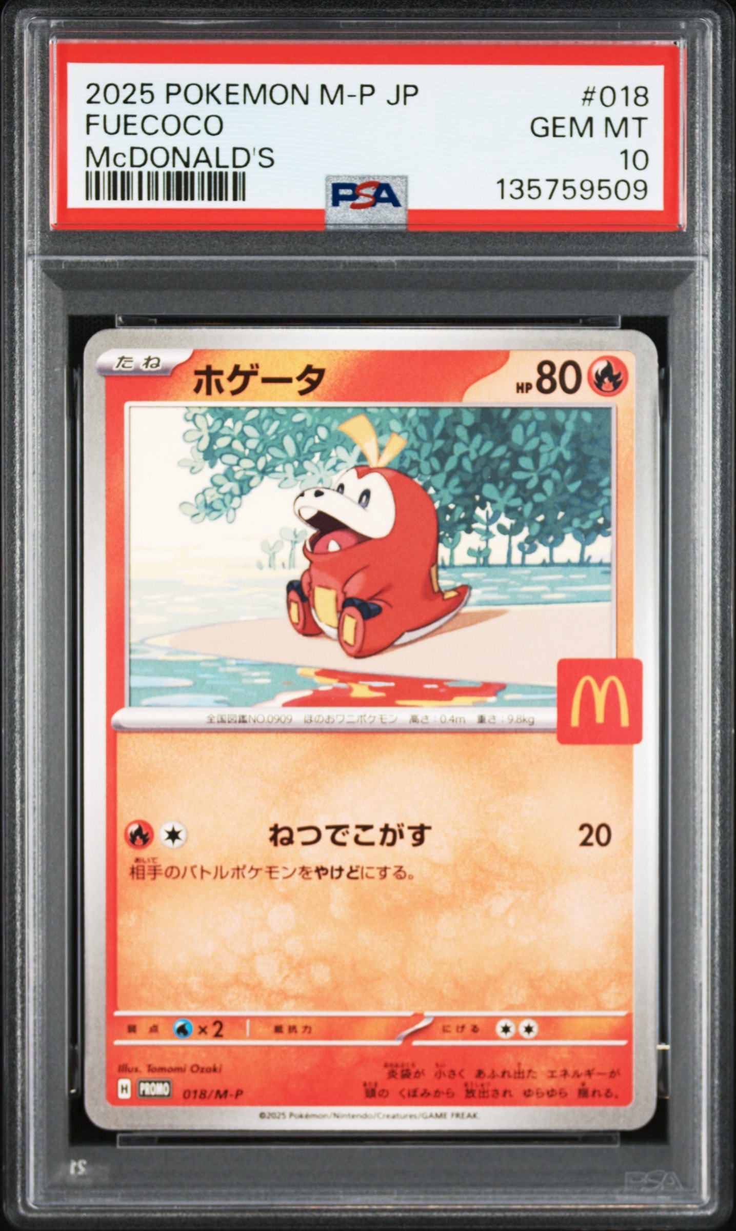 ホゲータ P [M-P 018](プロモカードパック「マクドナルド ハッピーセット2025」)