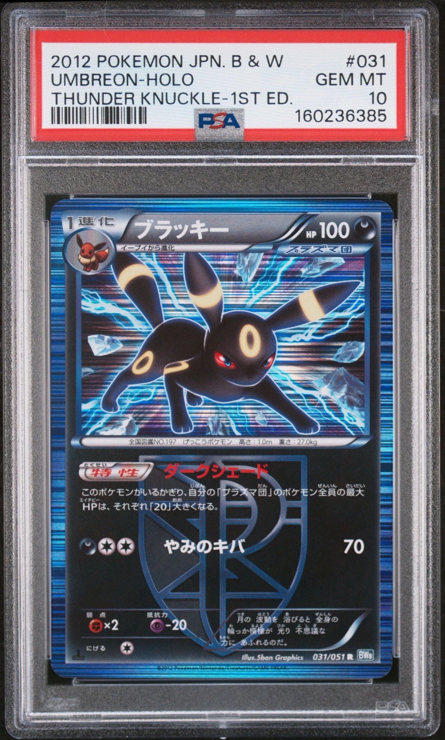 ブラッキー R :1ED [BW8 031/051](拡張パック「ライデンナックル