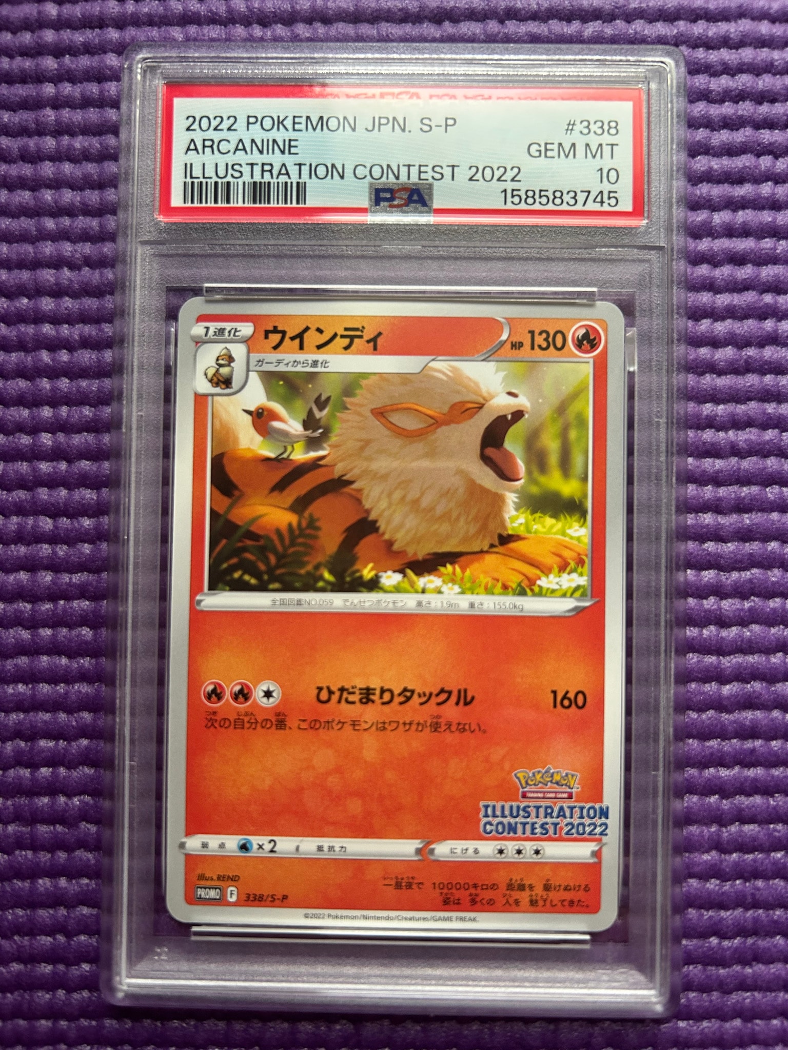 Arcanine PROMO[PROMO338/S-P](Promotional Cards "Pokemon Centers / Pokemon Stores / Pokemon Center Online Bonus for purchases over 2000 yen")