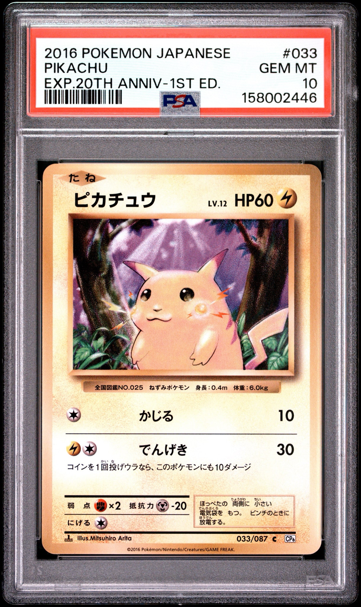 ピカチュウ C1ED CP6 033/087 20thAnniversary ピカチュウ C :1ED [CP6 033/087](コンセプトパック
