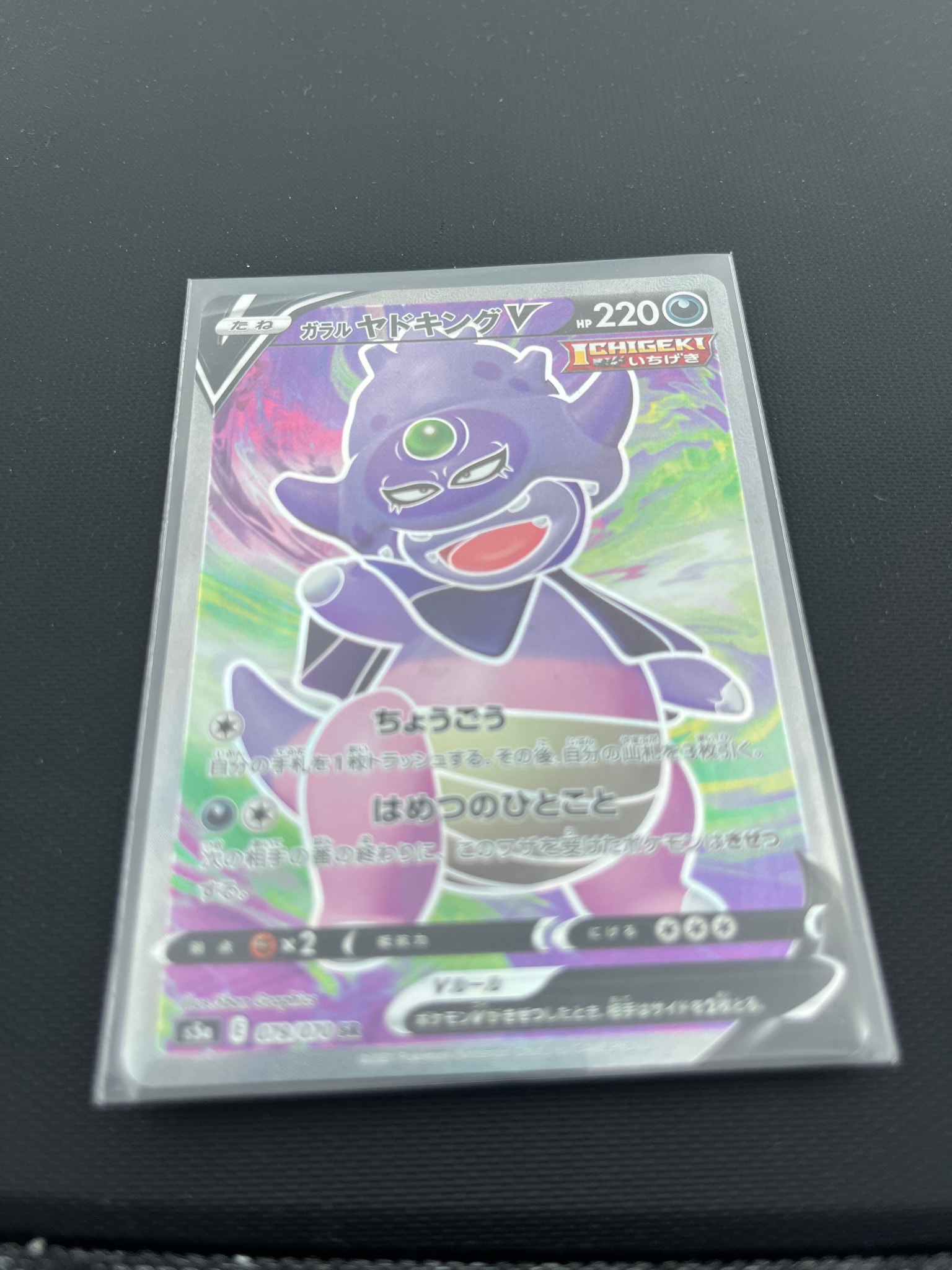 ガラル河馬王V