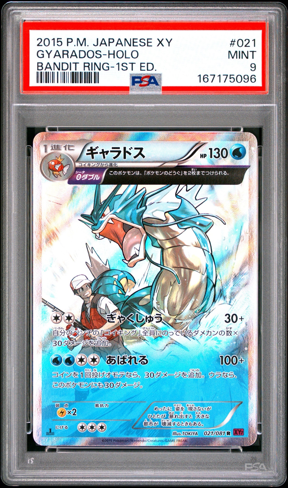 ギャラドス R XY7 バンデットリング 021/081 PSA9 PSA10】ギャラドス R :1ED [XY7 021/081](拡張パック「バンデット