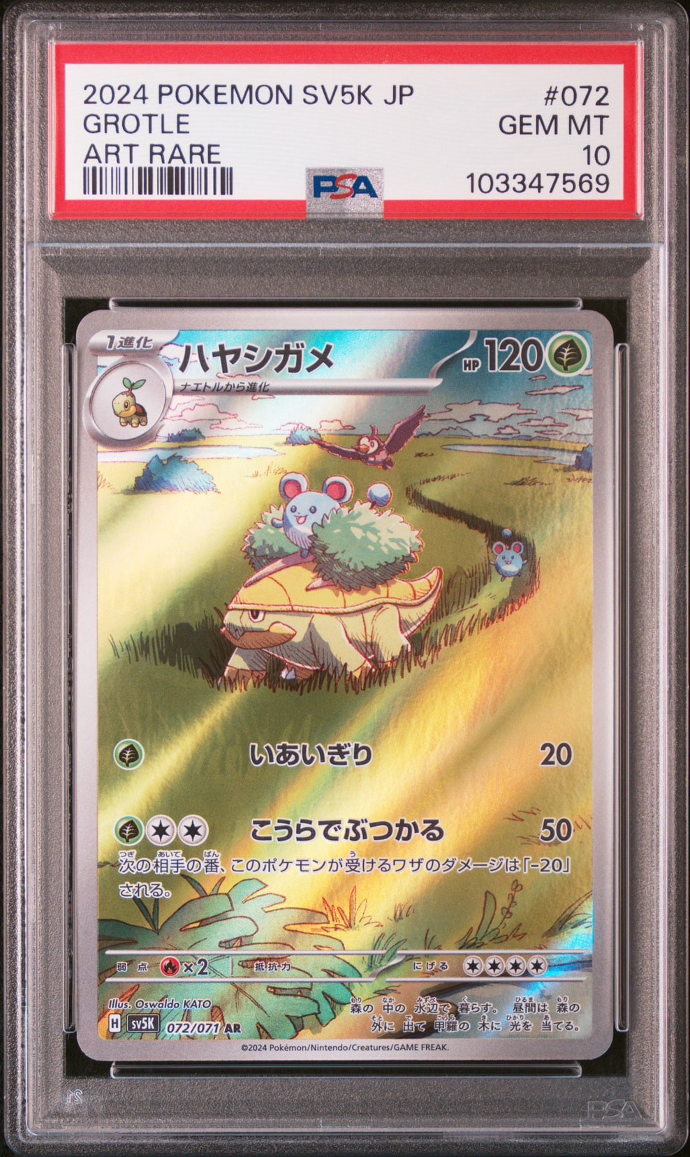 Grotle AR [SV5K 072/071](Expansion Pack "Wild Force" )