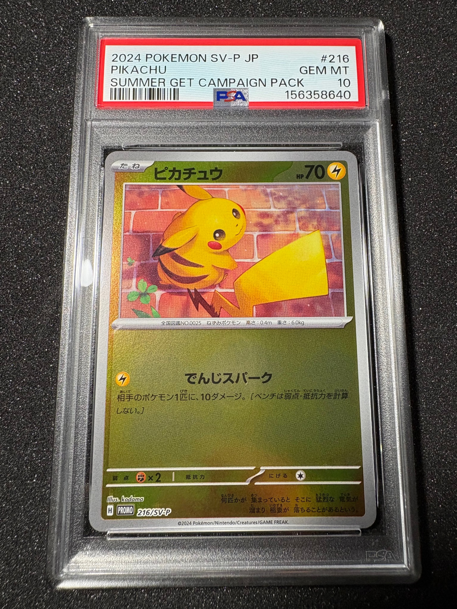 ピカチュウ P [SV-P 216](プロモカードパック「ポケカの夏がキタ