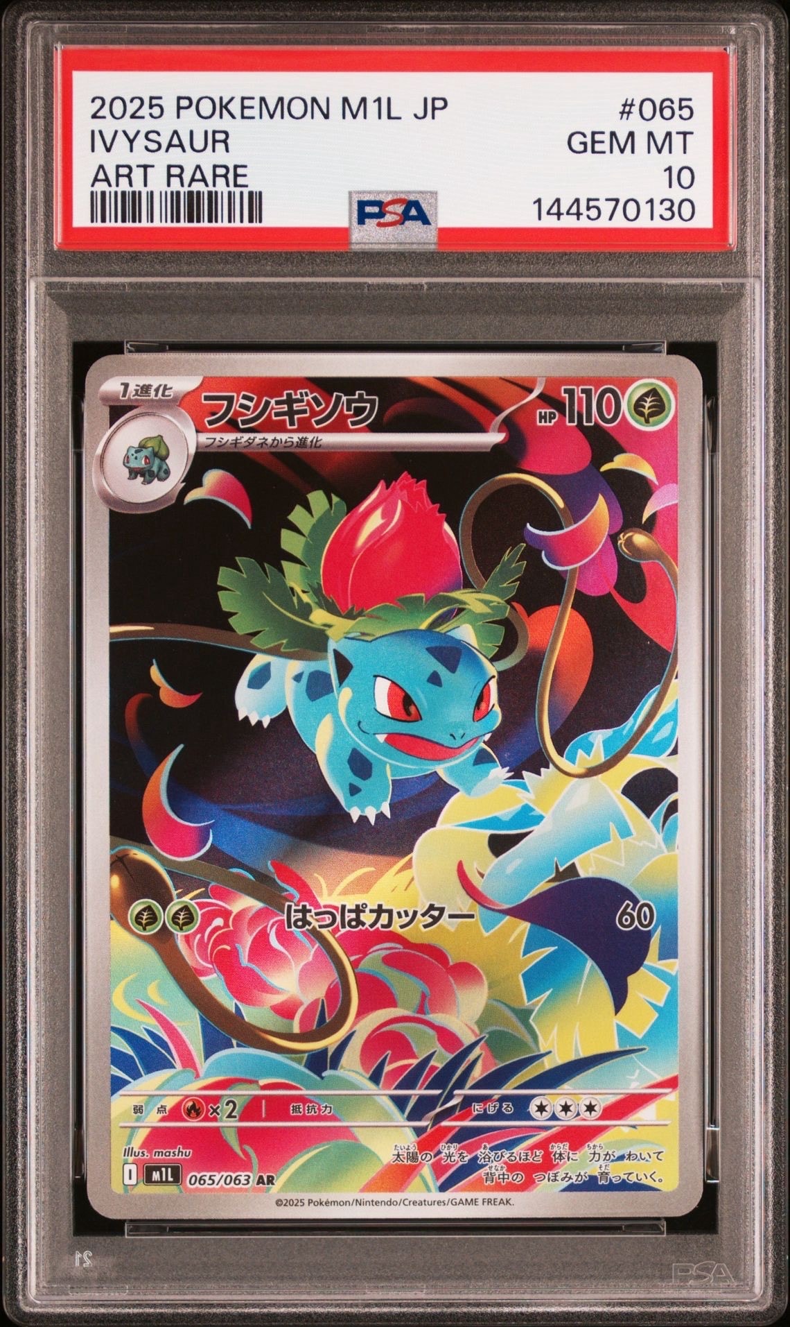 ヨコハマのピカチュウ: プロモ[SM-P 282](プロモーションカード「SM-P